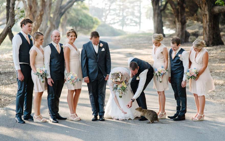 Spring has sprung: 10 sensational spring weddings Aimee_Tom_Rottnest-Island spring wedding