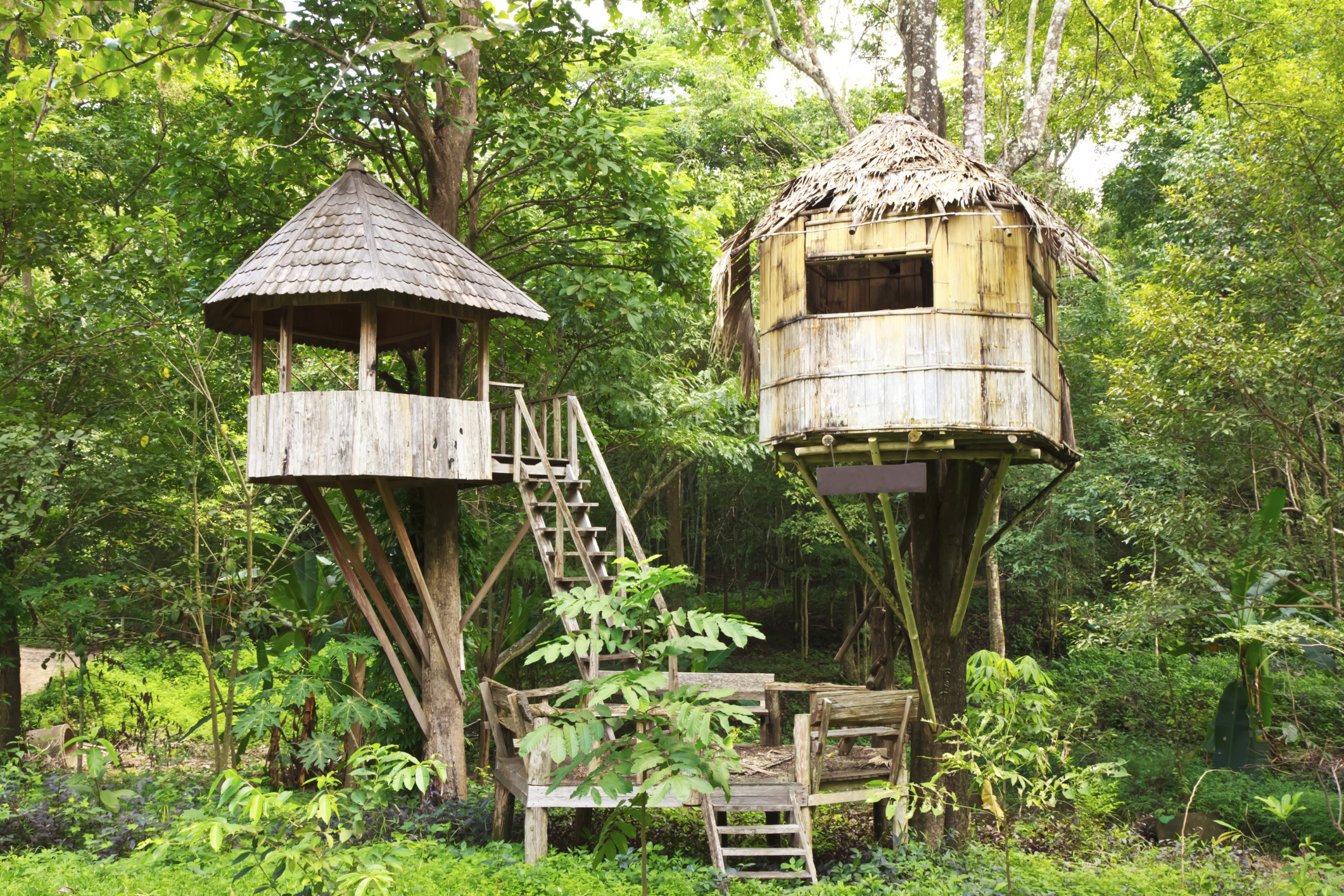 Honeymoon ideas - stay in a treehouse