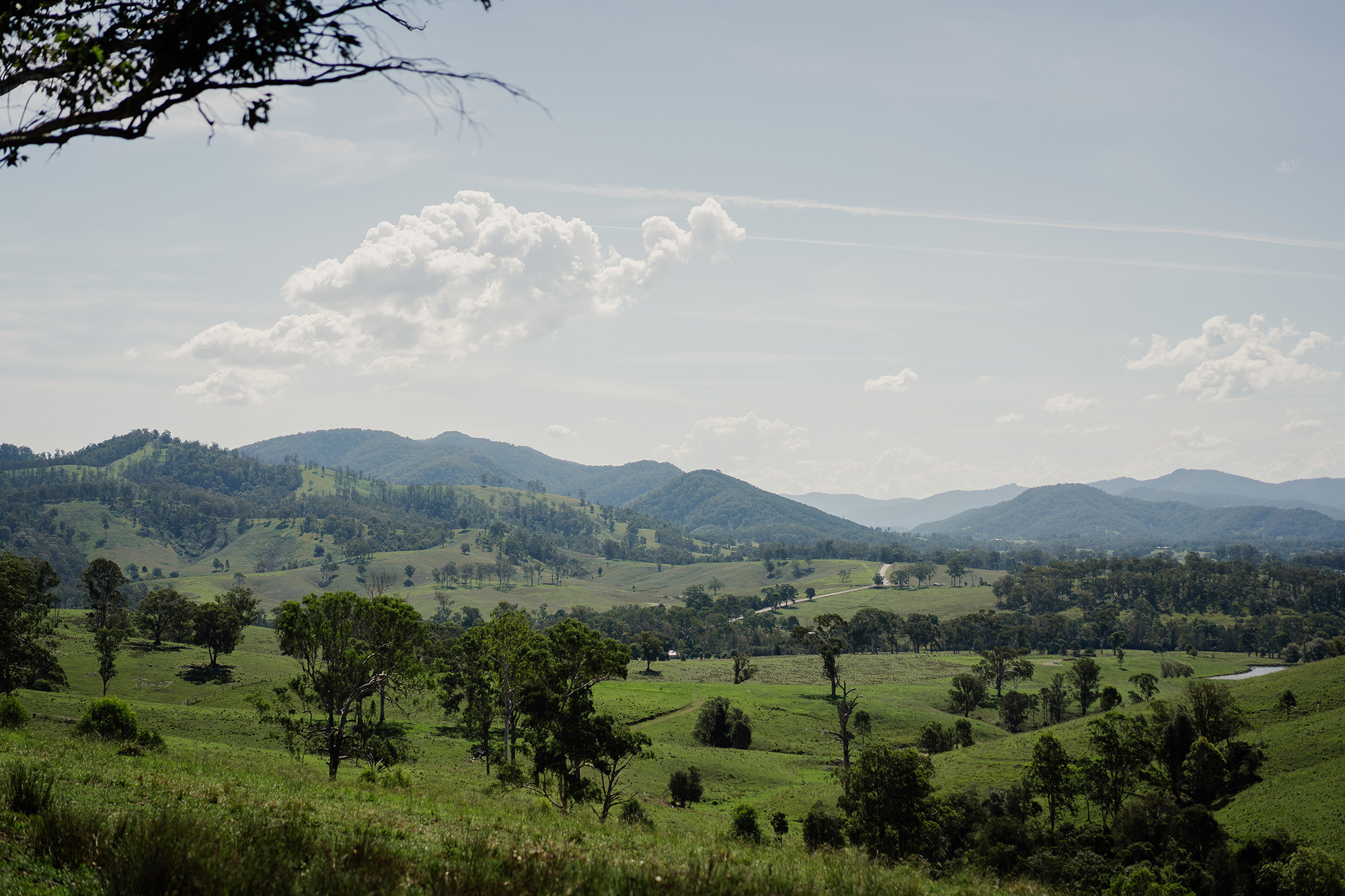 Ashleigh Adam Rustic Country Wedding Ben Howland 015