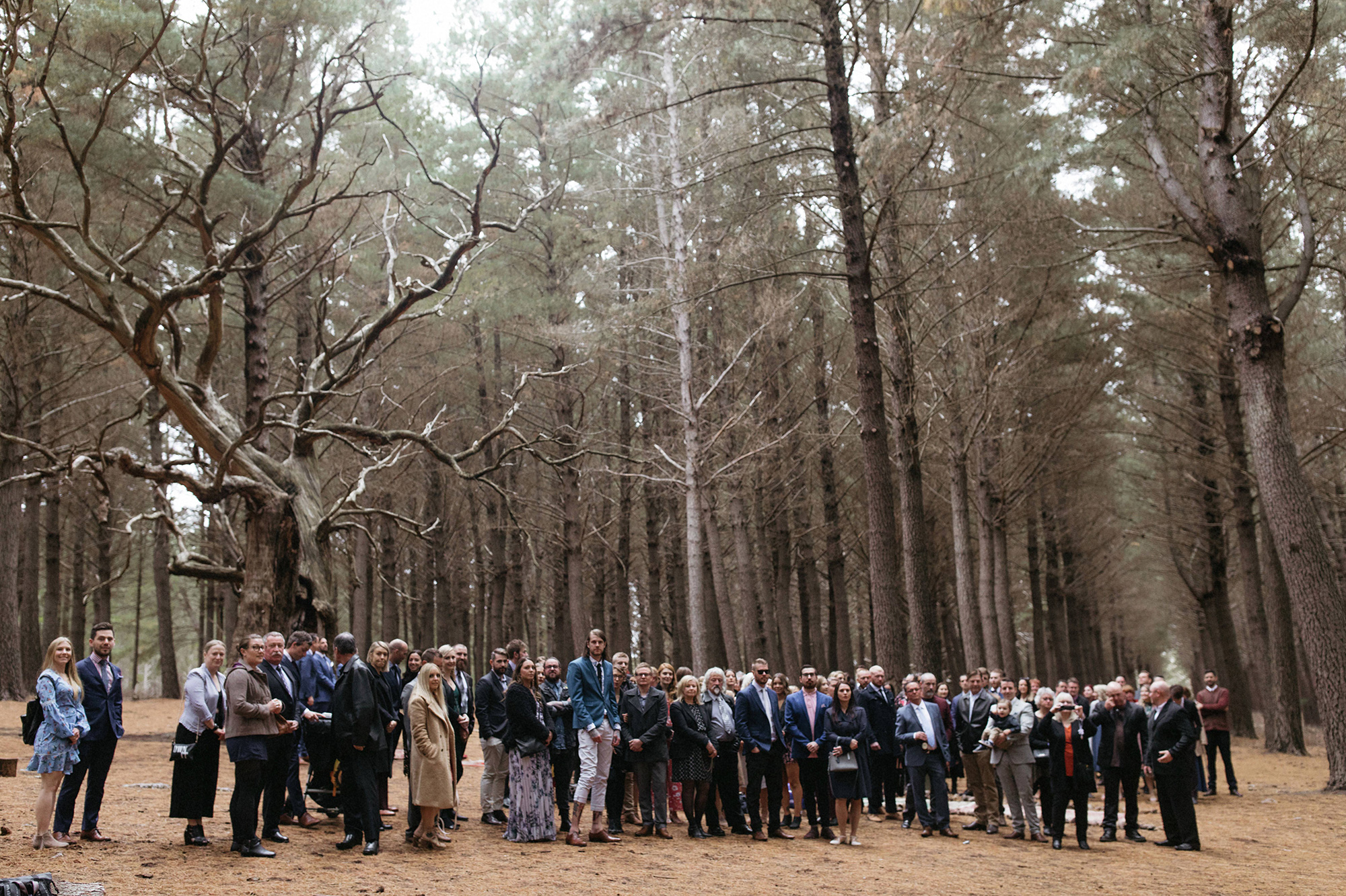 Bec Shaan Forest Country Wedding Dan Evans Photography 022