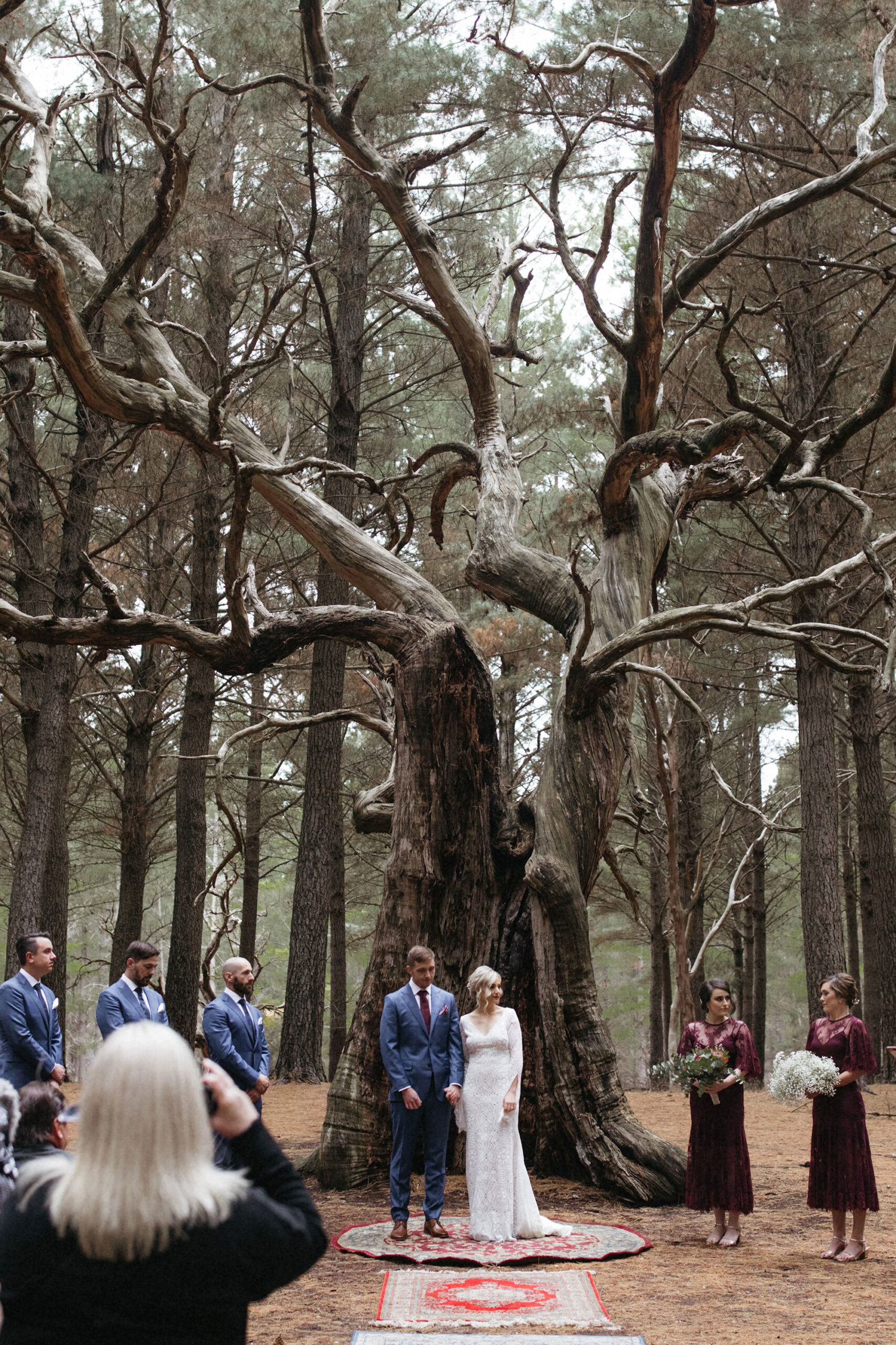 Bec Shaan Forest Country Wedding Dan Evans Photography SBS 017 scaled