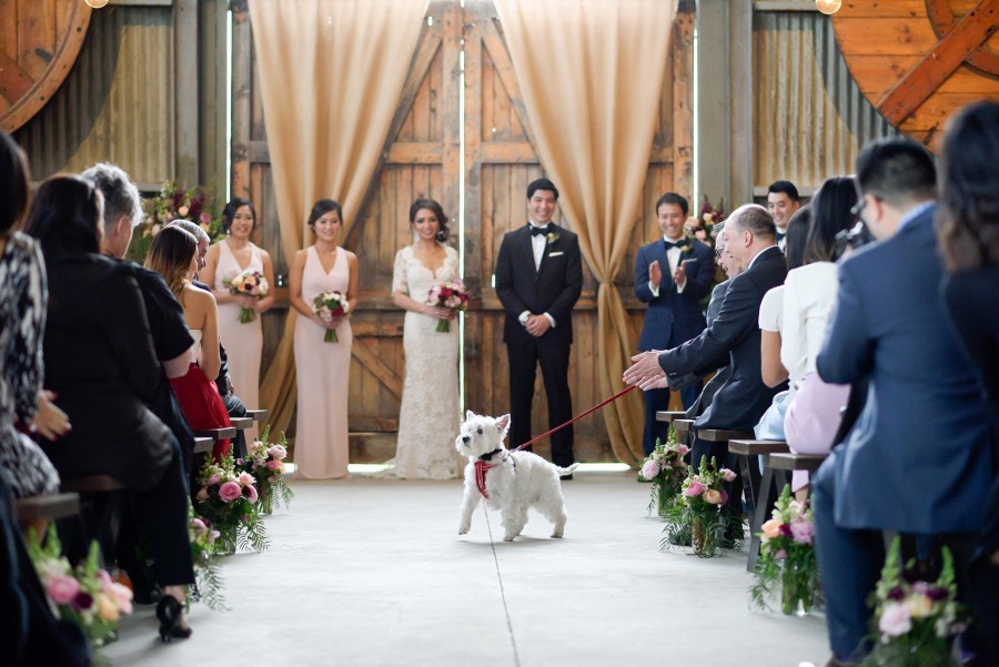 How social media has changed weddings unplugged real weddings