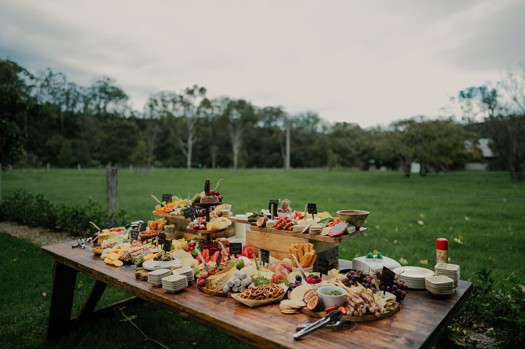 Nicola James Rustic Garden Wedding Ben Howland 029