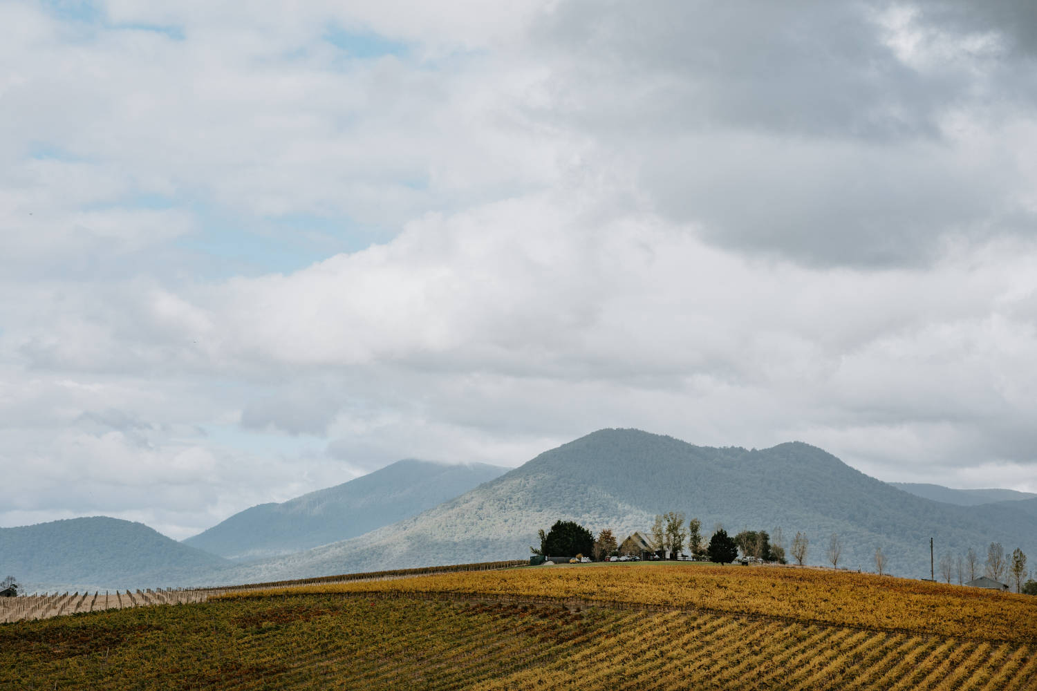 Classic elegant style for Jess and Jack at their Riverstone Estate wedding, Yarra Valley, by Dan Brannan Photography.