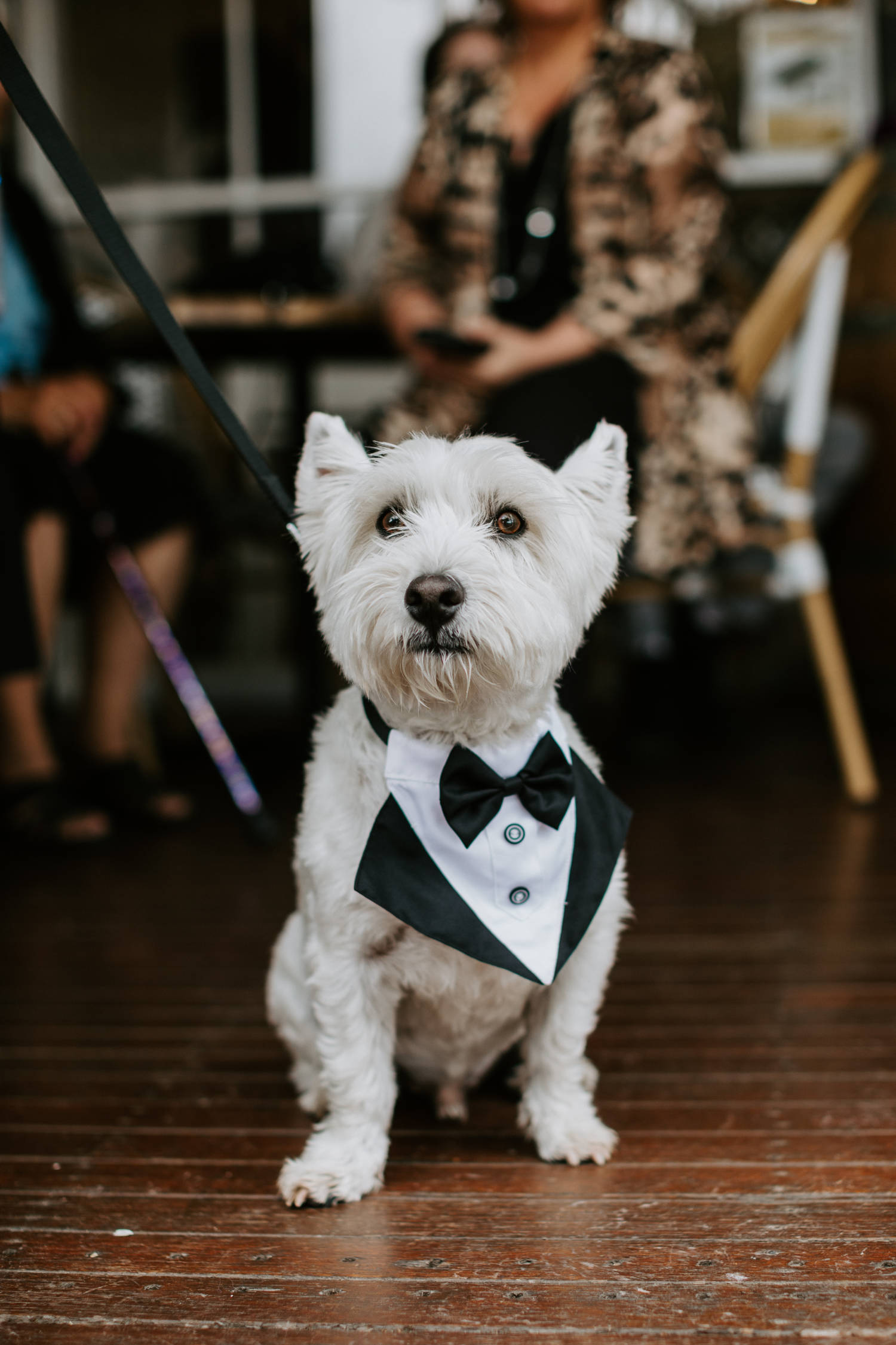 Classic elegant style for Jess and Jack at their Riverstone Estate wedding, Yarra Valley, by Dan Brannan Photography.