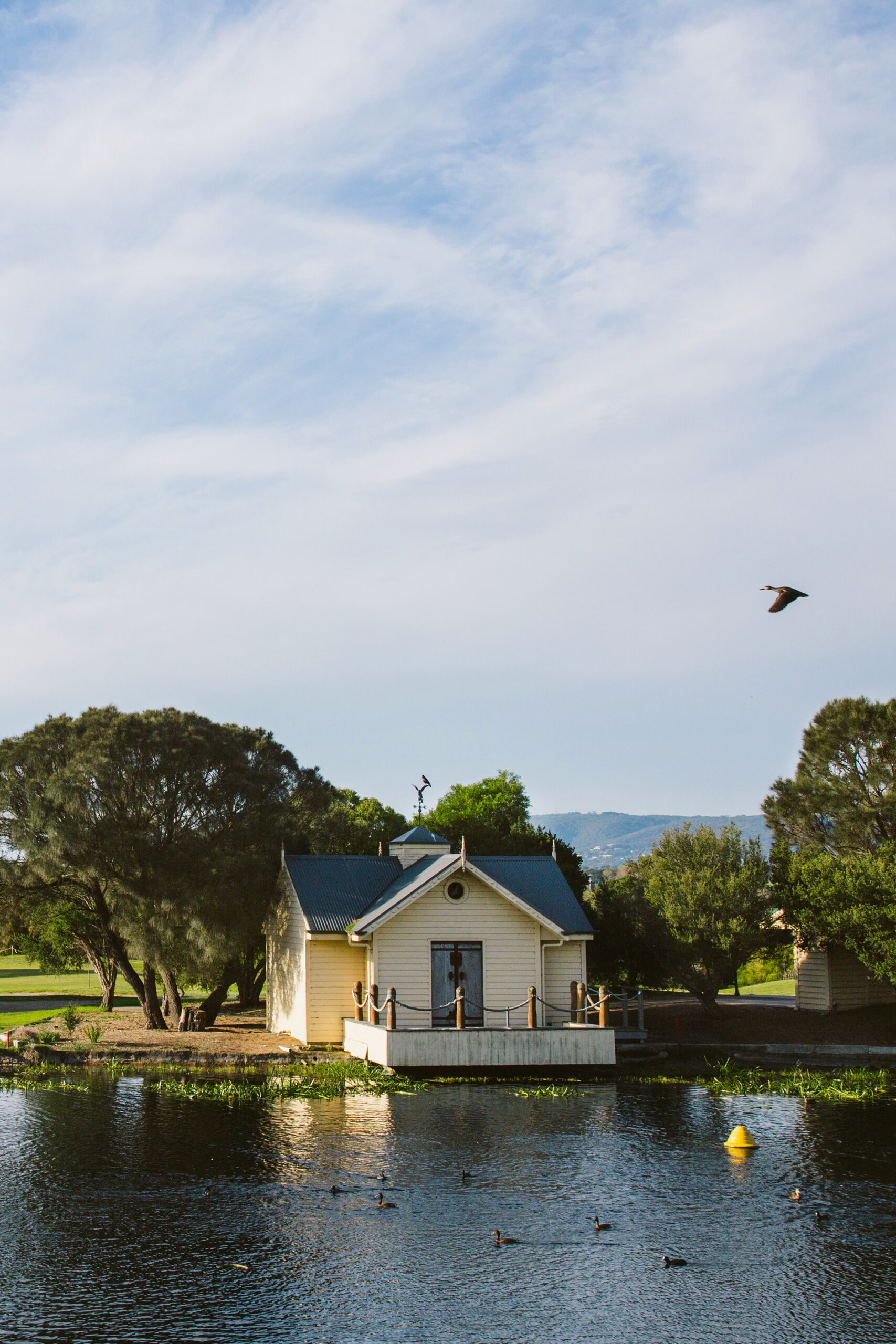 Abby_Daryl_Eagle-Ridge-Wedding_Jodi-Bouma-Photography_SBS_020