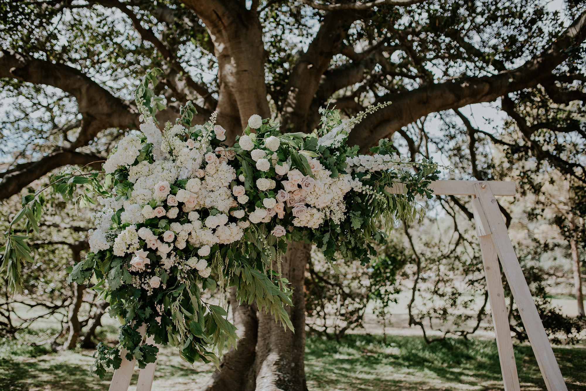 Alanna_Ben_Modern-Garden-Party-Wedding_Scott-Surplice-Photography_014