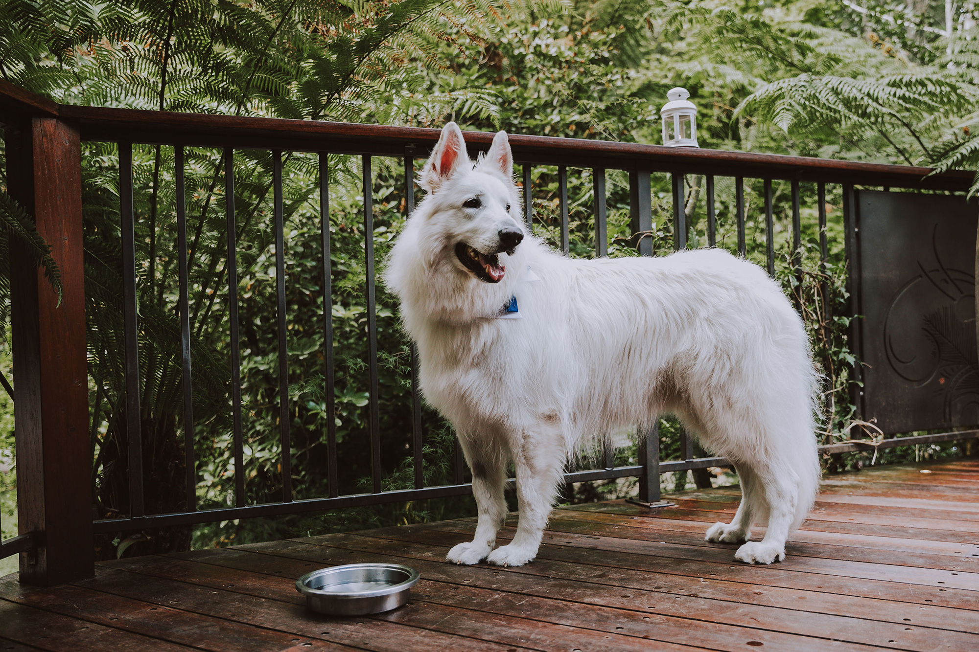 Alyssa Brody Rustic Garden Wedding Lovable Photography 017