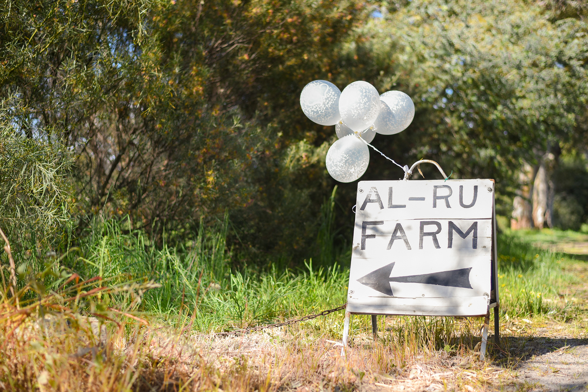 Amber_Trent_Rustic-Vintage-Wedding_006