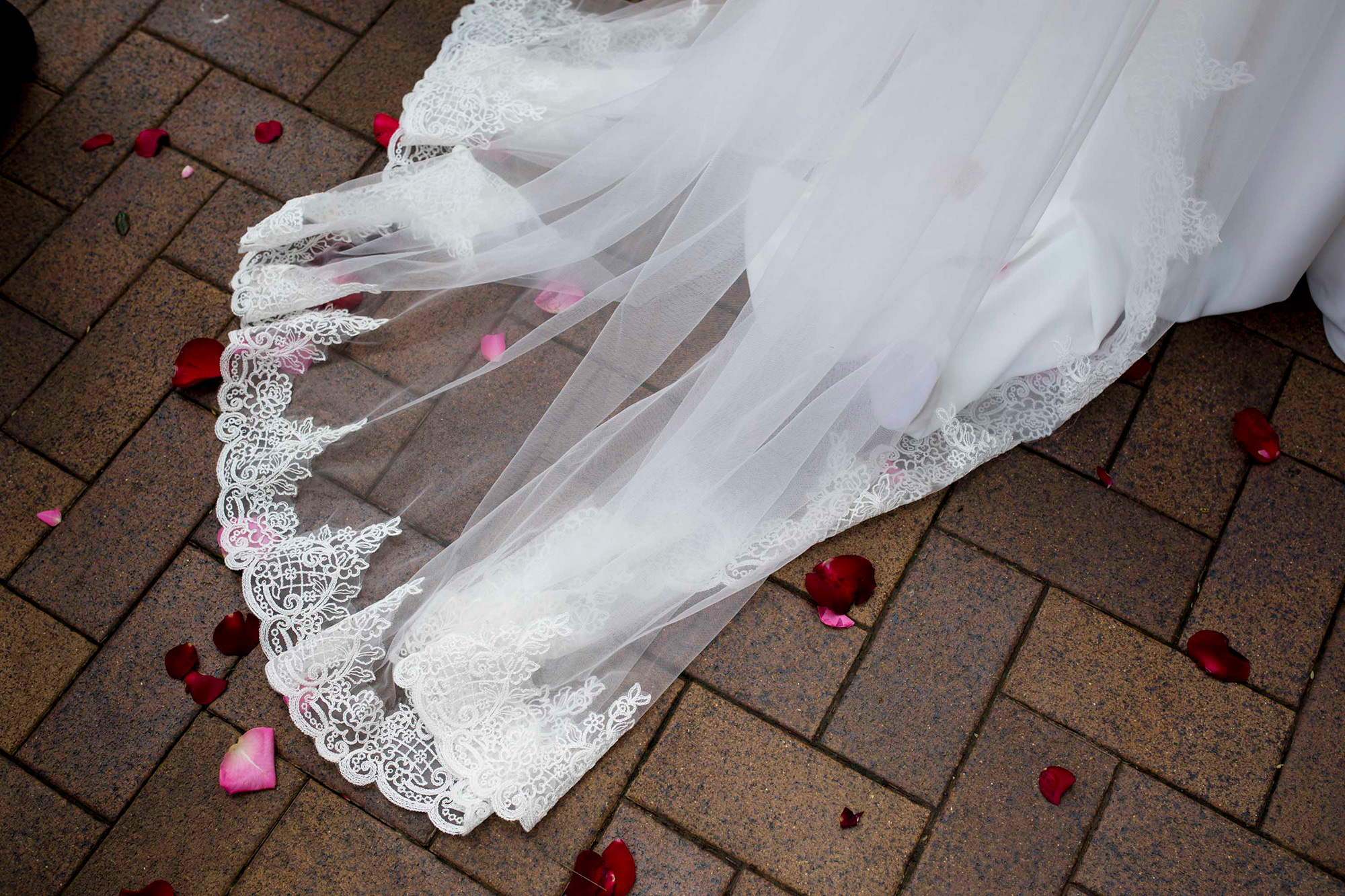 Amy Sean Garden Cocktail Wedding Sam Wyper Photography 012