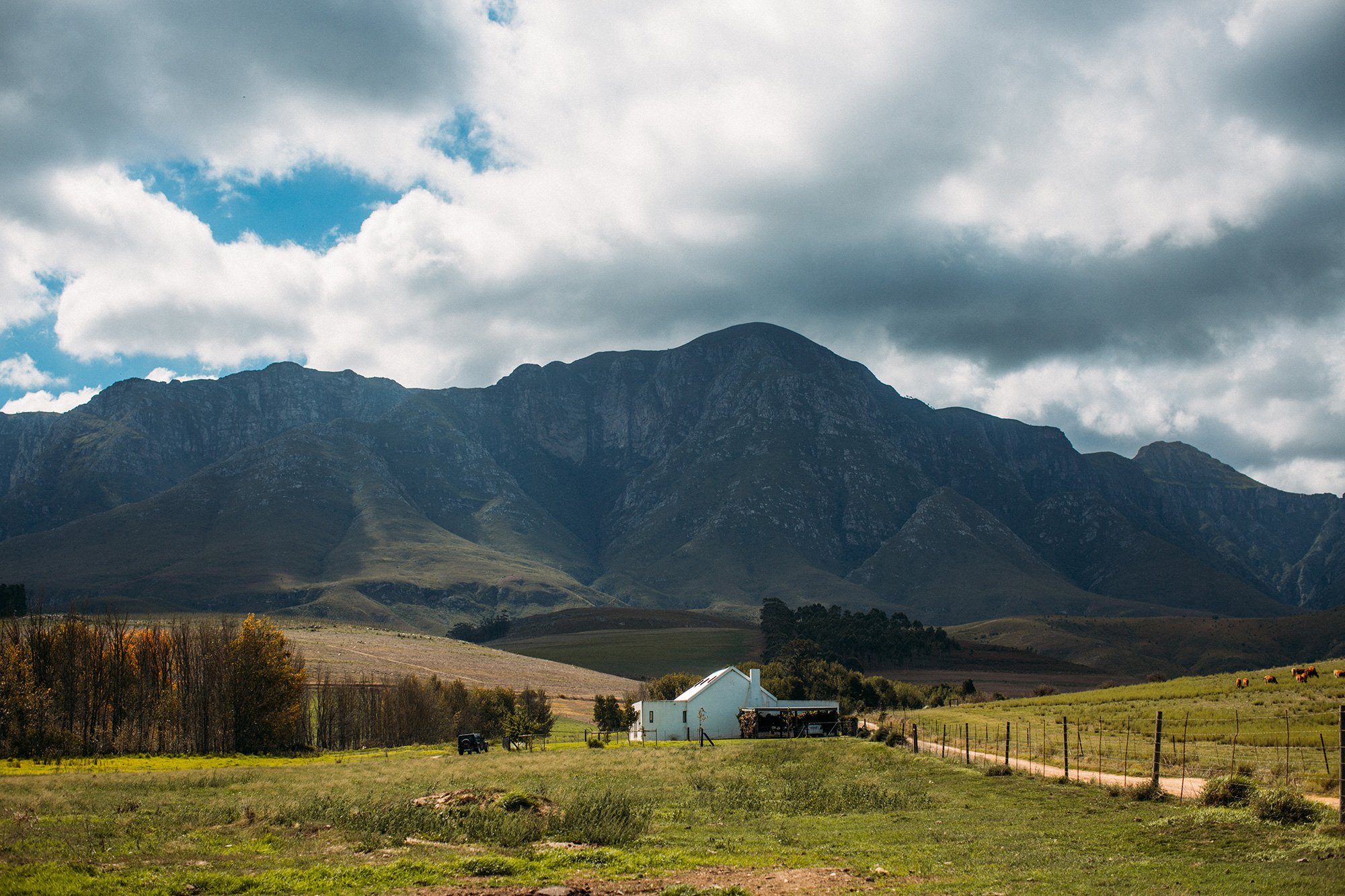 Anina_Rudi_South-African-Wedding_014