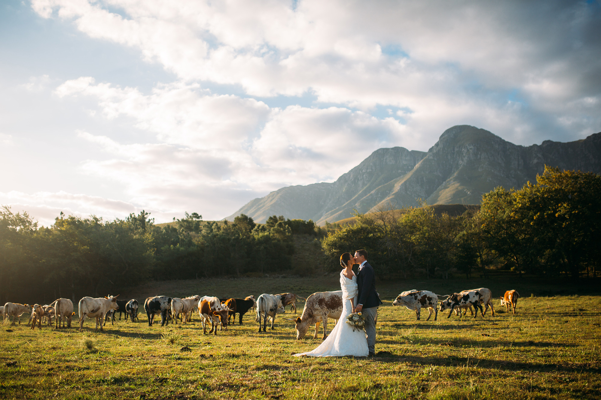 Anina_Rudi_South-African-Wedding_037