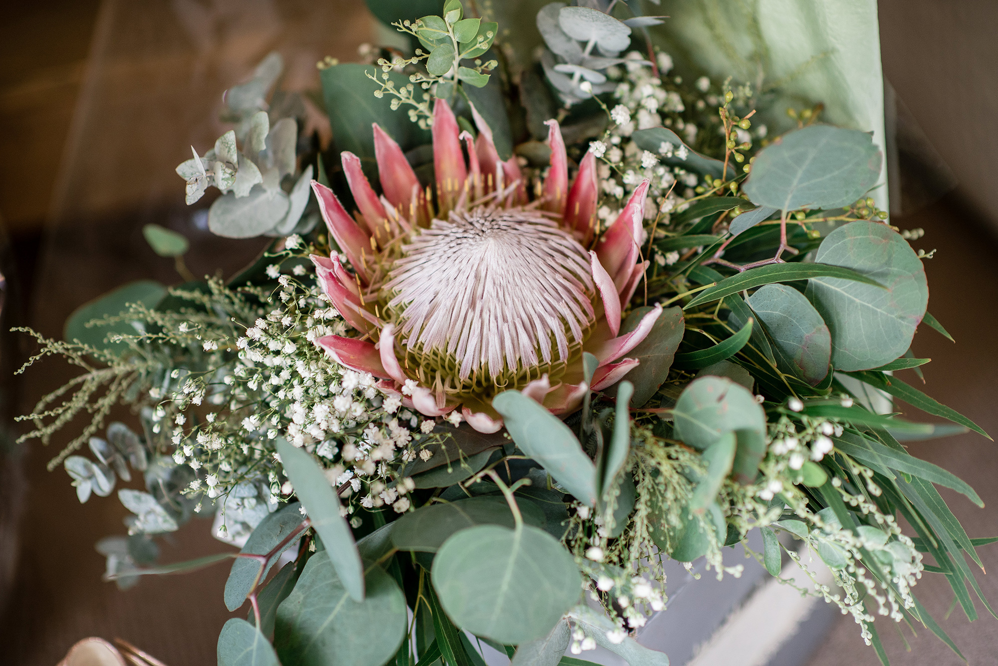 Ashley Shannan Elegant Vineyard Wedding Passion8 Photography 005