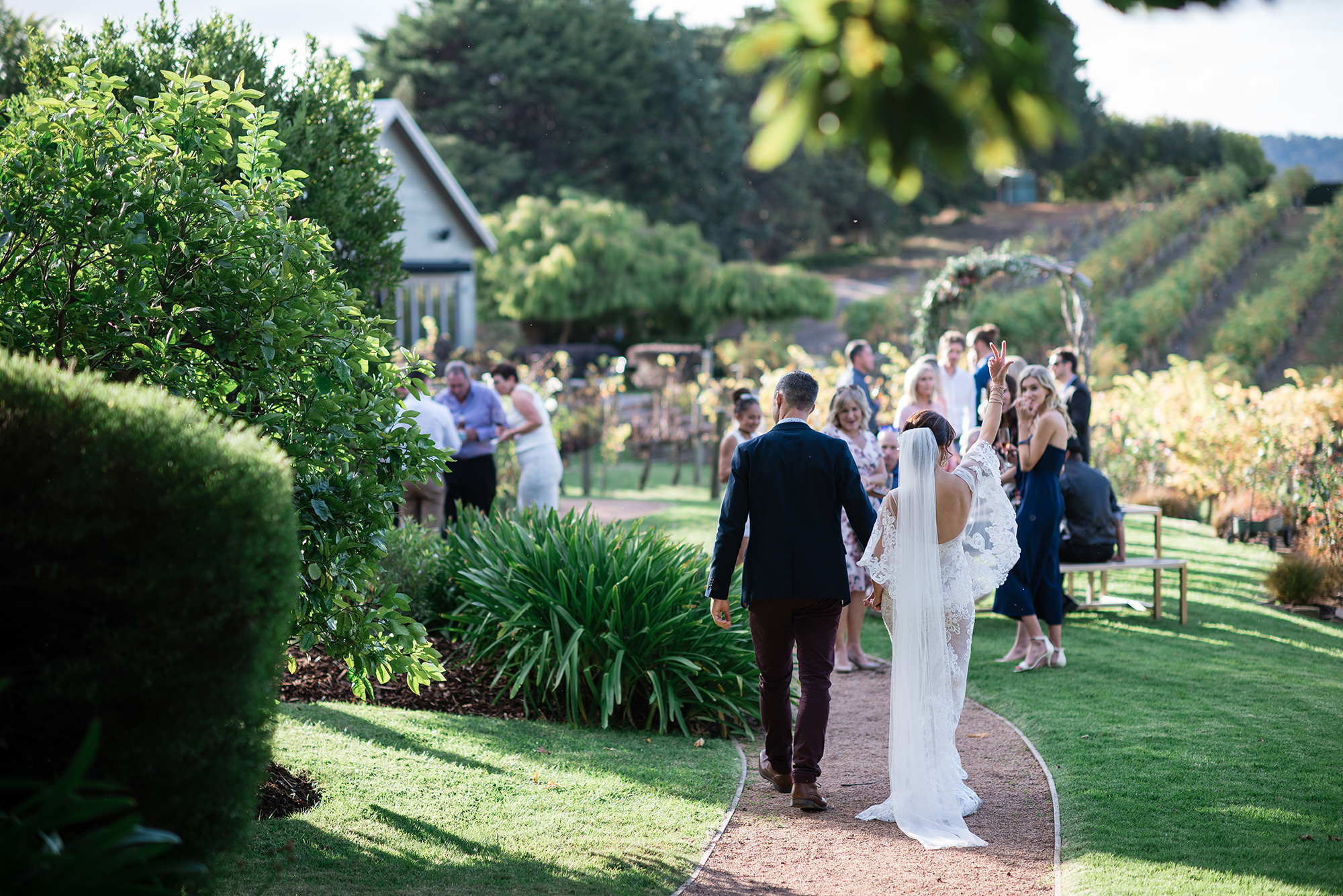 Ashley Shannan Elegant Vineyard Wedding Passion8 Photography 039