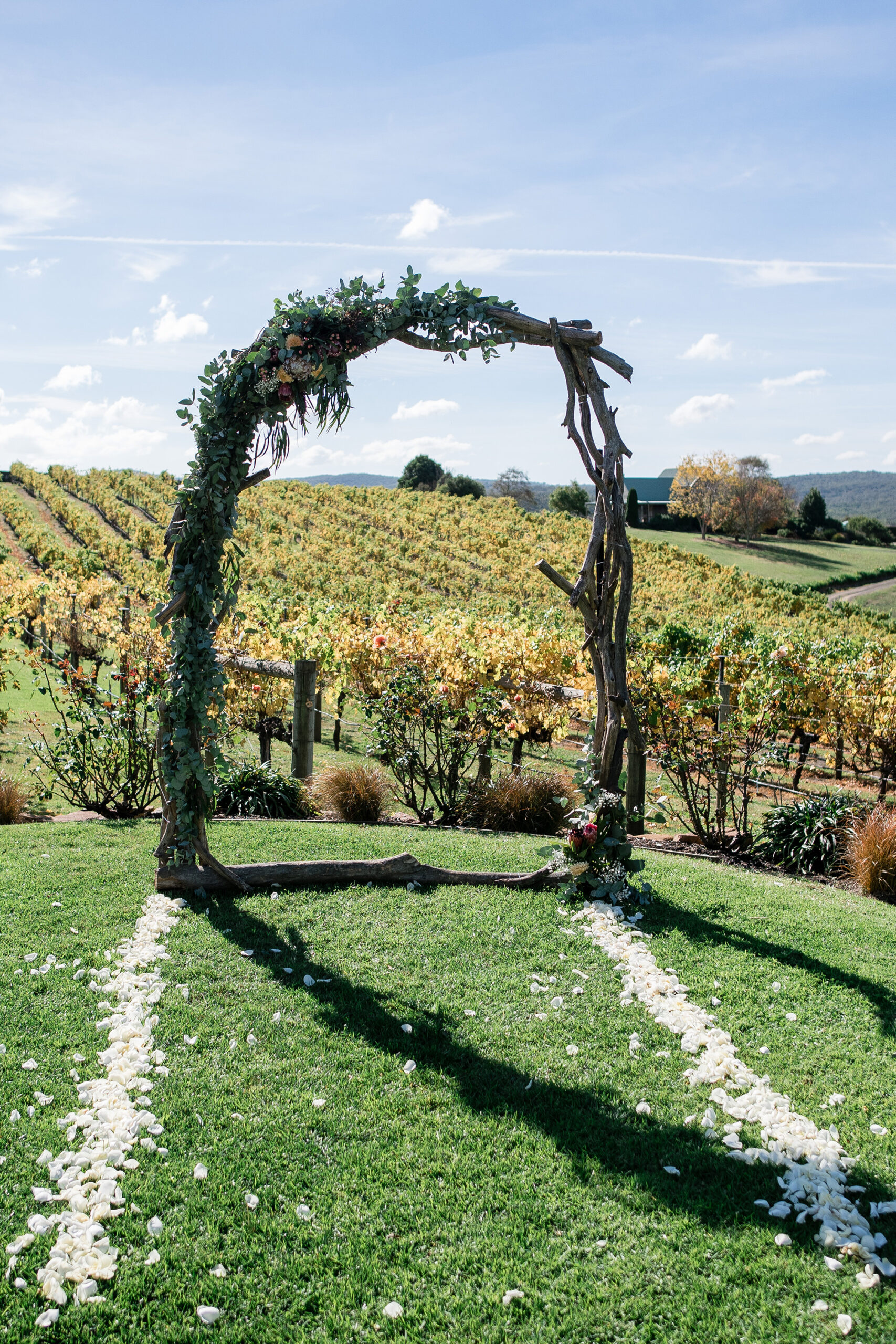 Ashley Shannan Elegant Vineyard Wedding Passion8 Photography SBS 004 scaled