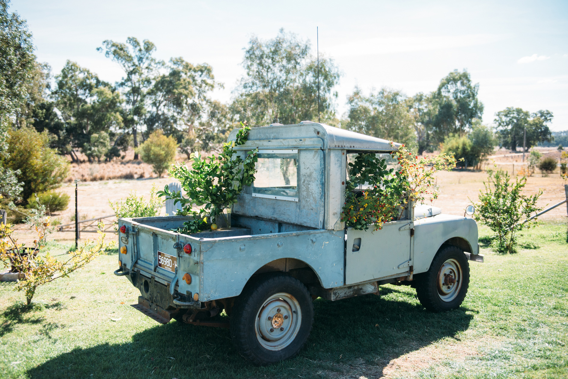 Beatrice_Steve_Autumn-Country-Wedding_008