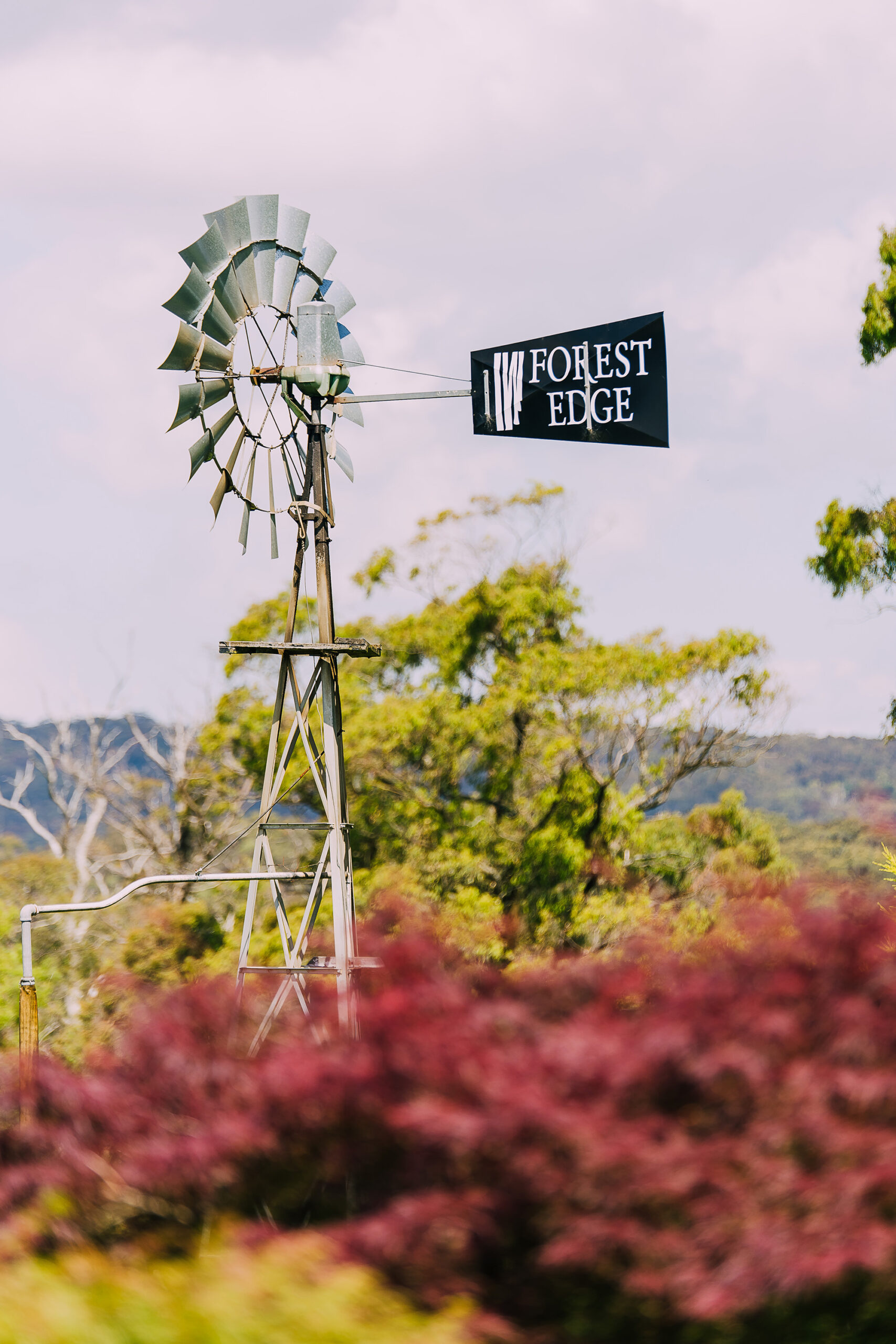 Bec Dave Relaxed Wedding Millgrove Photography SBS 015 scaled