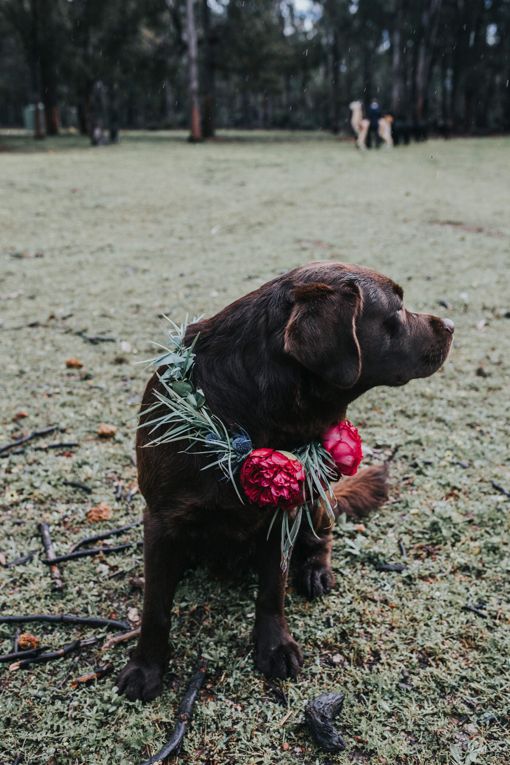 Brantley_Simon_Rustic-Country-Wedding_Keeper-Creative_SBS_023