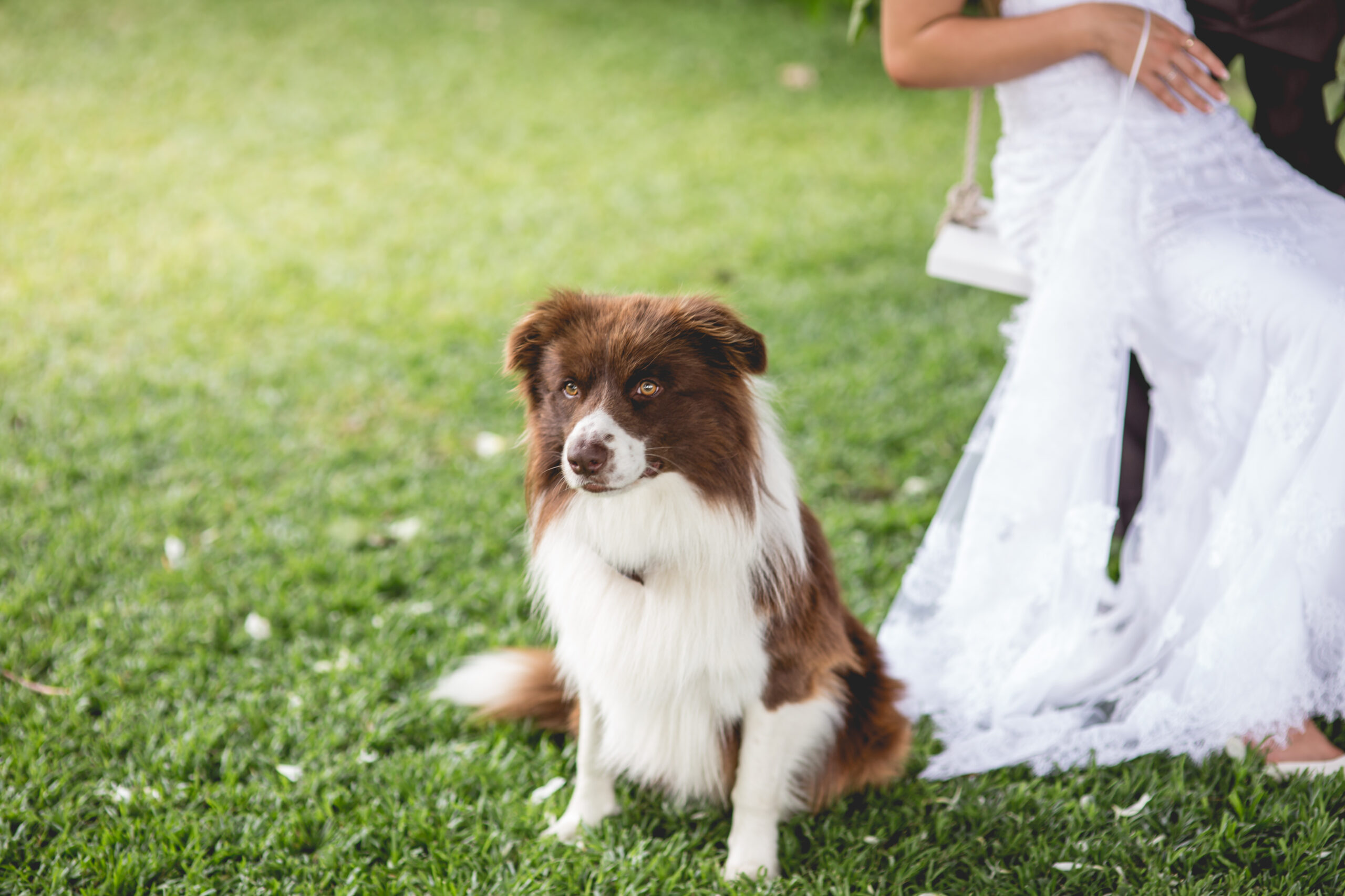 Brooke + Keegan Wedding_-476