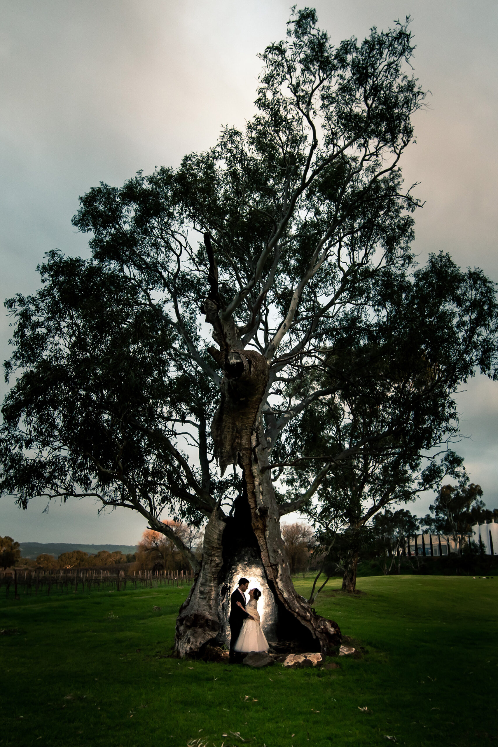 Bruna Travis Winter Vineyard Wedding Glenn Alderson Photography SBS 027 scaled