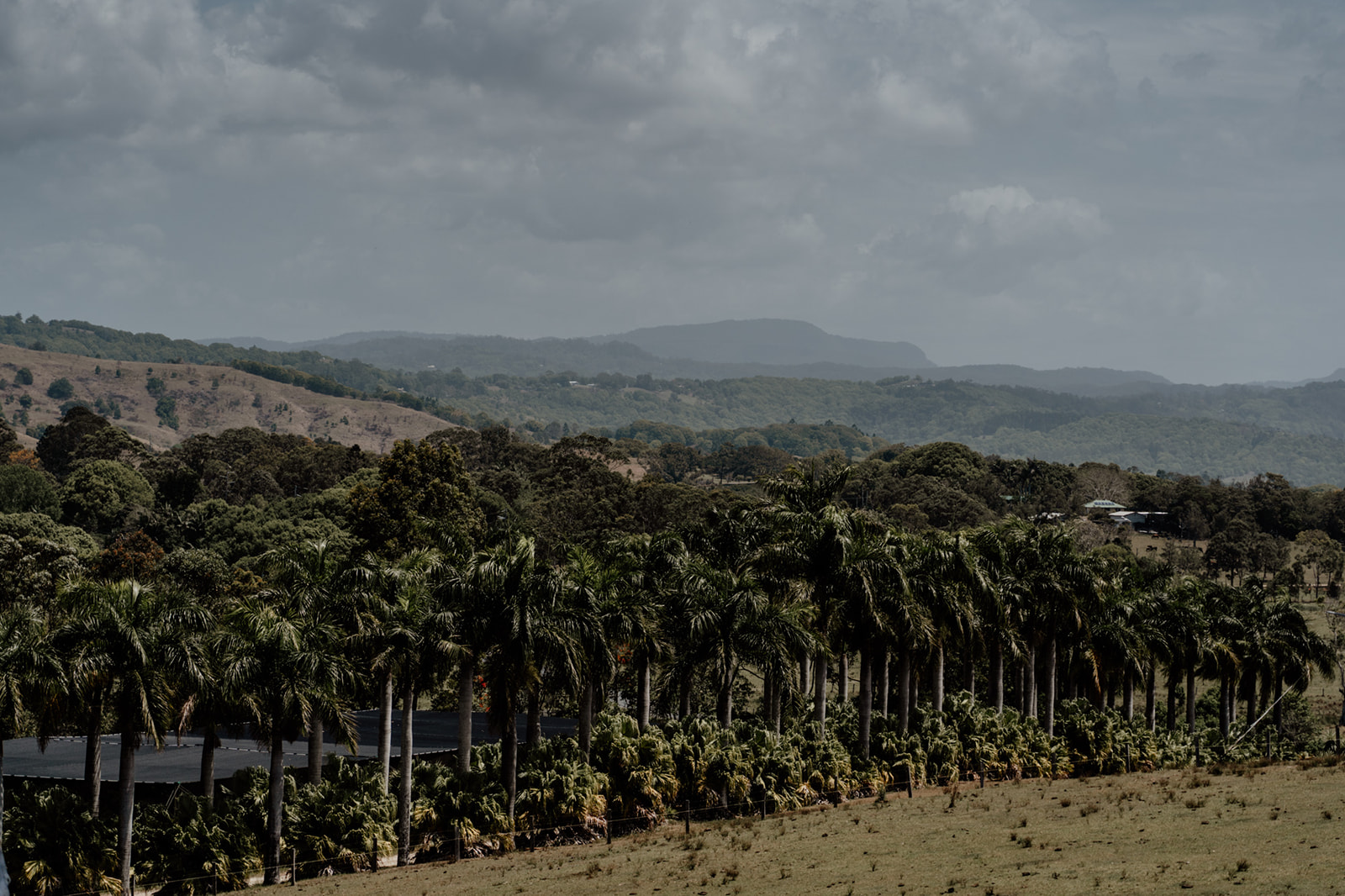 Byron Bay Tooraloo Farmstay Wedding Sam Wyper Photography Lauren Andrew 07