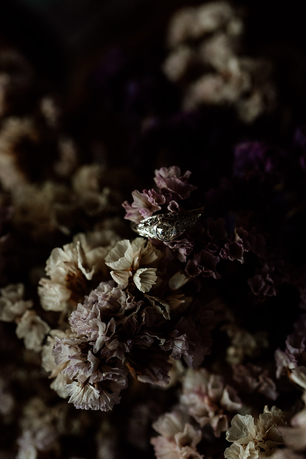 Byron Bay Tooraloo Farmstay Wedding Sam Wyper Photography Lauren Andrew 13