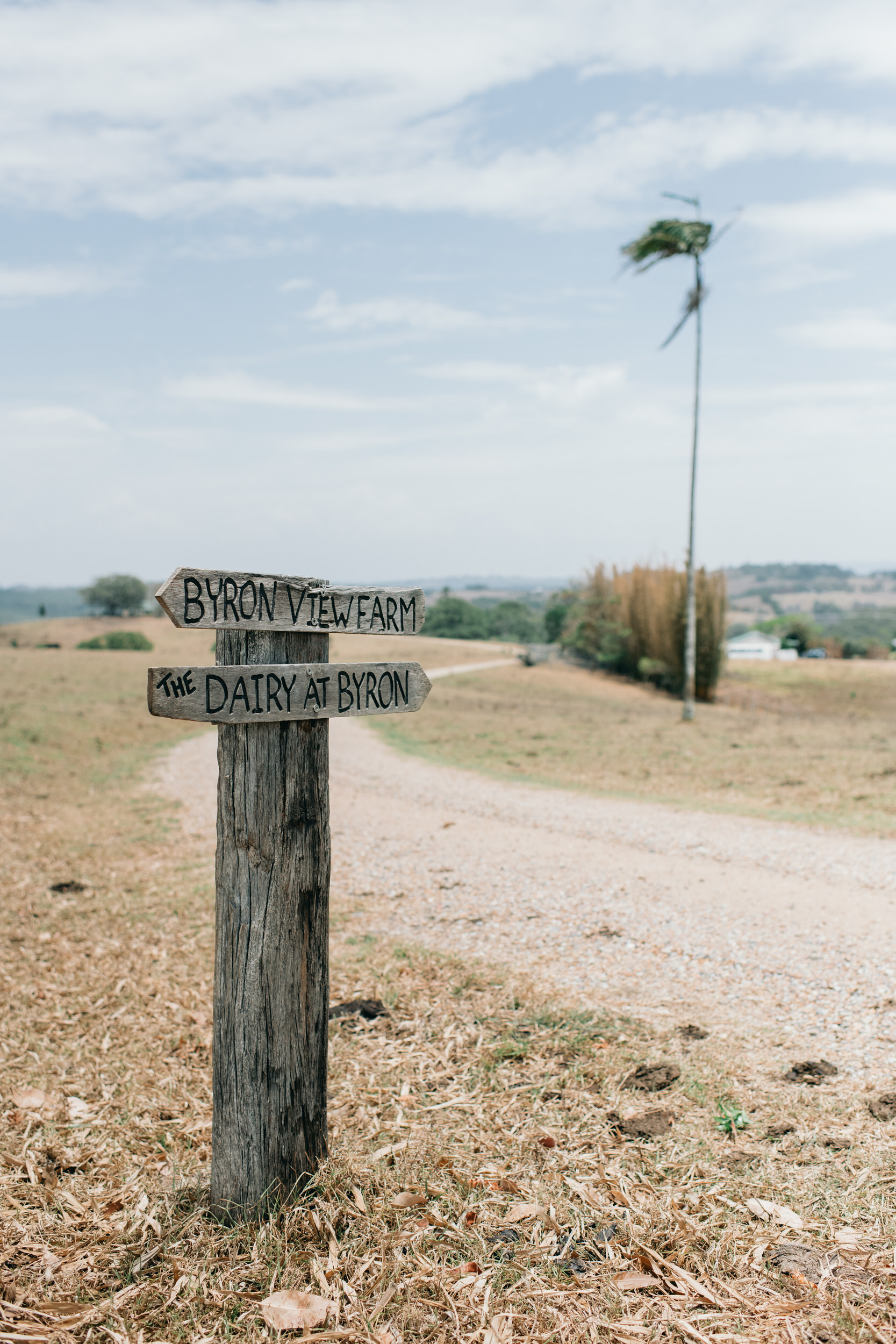 Byron View Farm Wedding Photos by Figtree Wedding Photography Kylie Jonathan 01