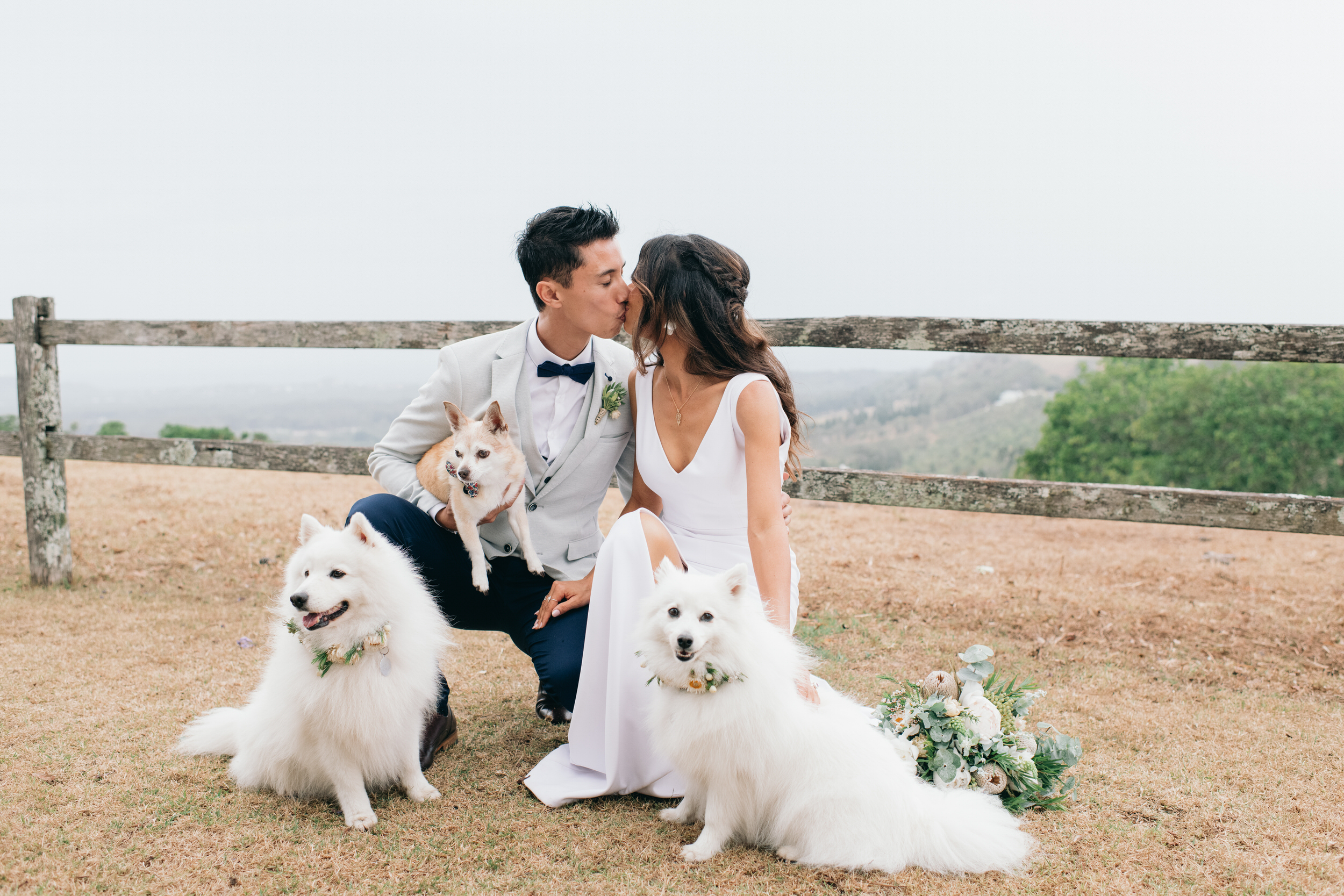 Byron View Farm Wedding Photos by Figtree Wedding Photography Kylie Jonathan 18