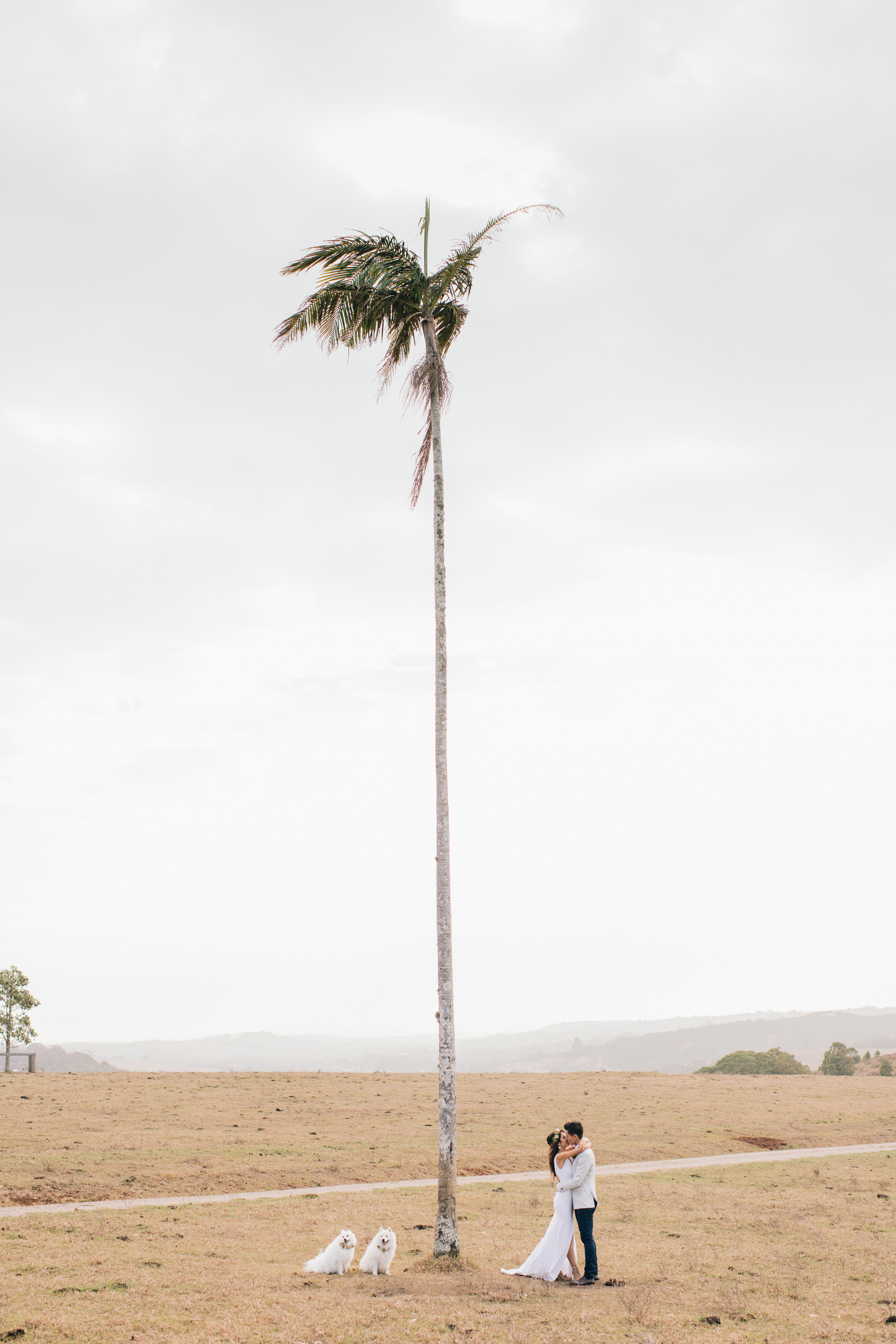 Byron View Farm Wedding Photos by Figtree Wedding Photography Kylie Jonathan 23