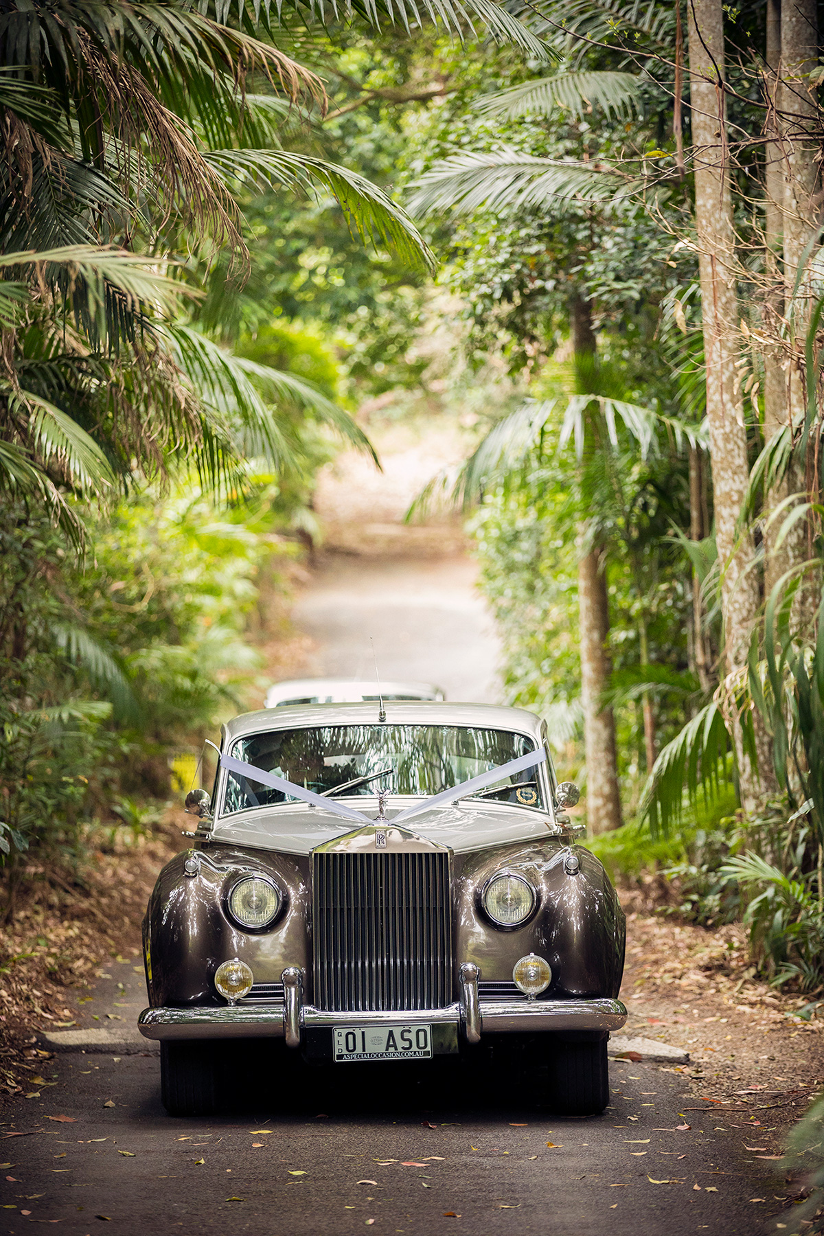 Chemere_Matthew_Enchanted-Forest-Wedding_DK-Photography_SBS_017