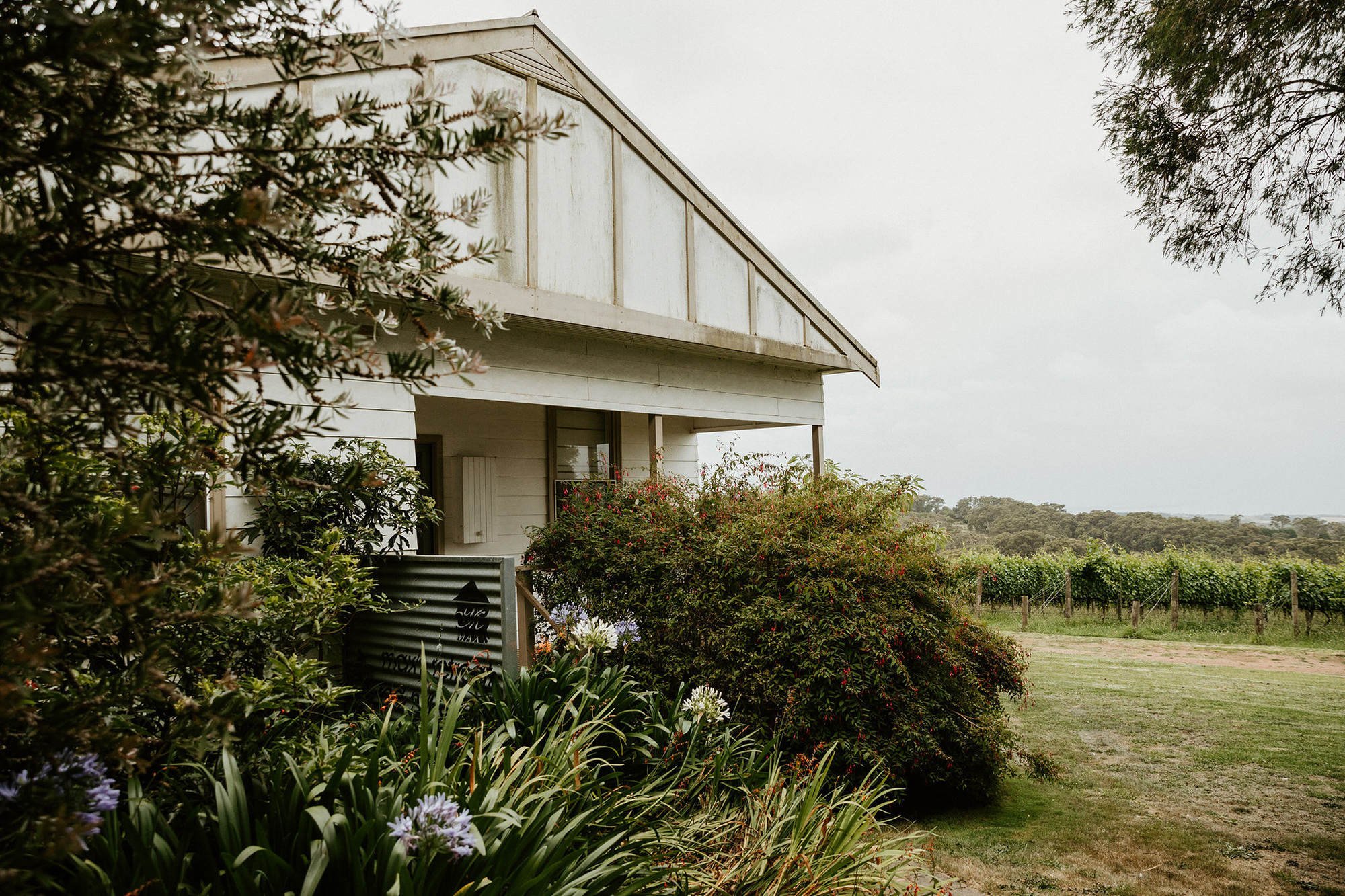 Chiara Bianca Rustic Vineyard Wedding Dan Brannan Photography 001