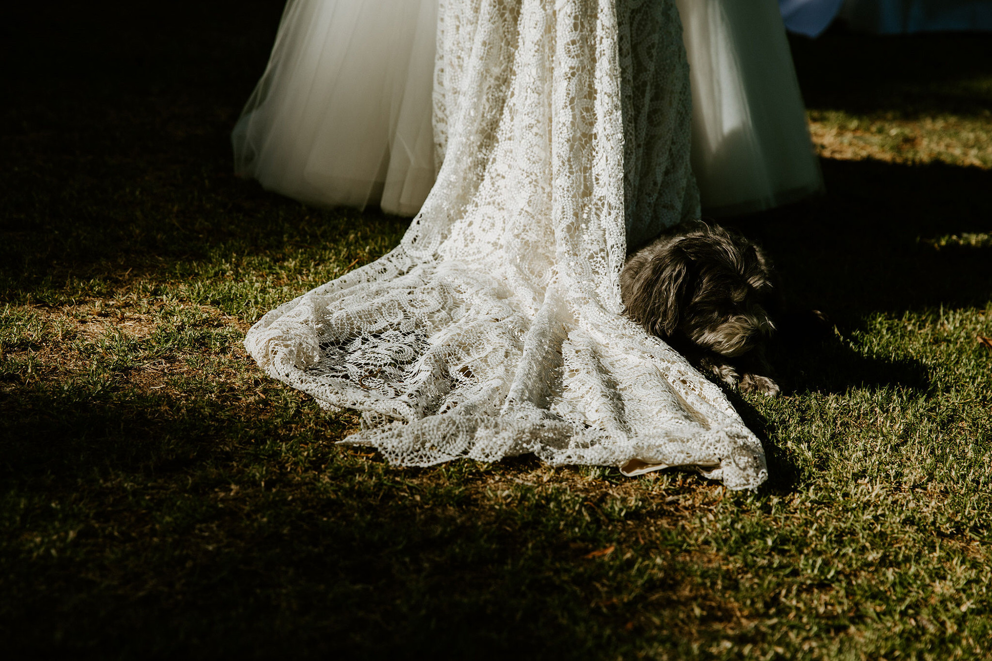 Chiara Bianca Rustic Vineyard Wedding Dan Brannan Photography 038