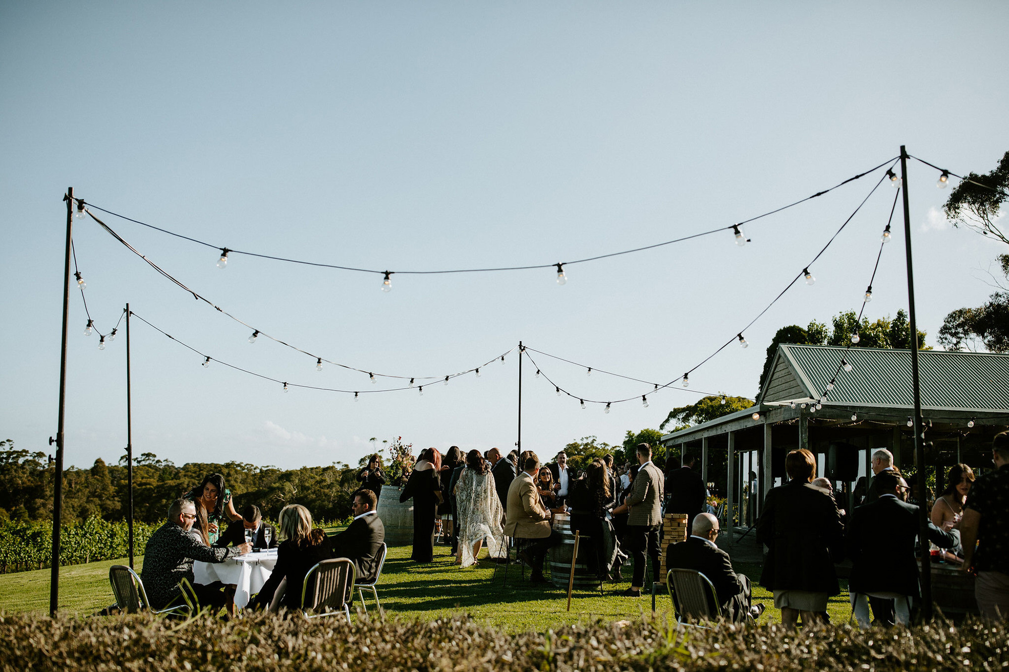 Chiara Bianca Rustic Vineyard Wedding Dan Brannan Photography 042