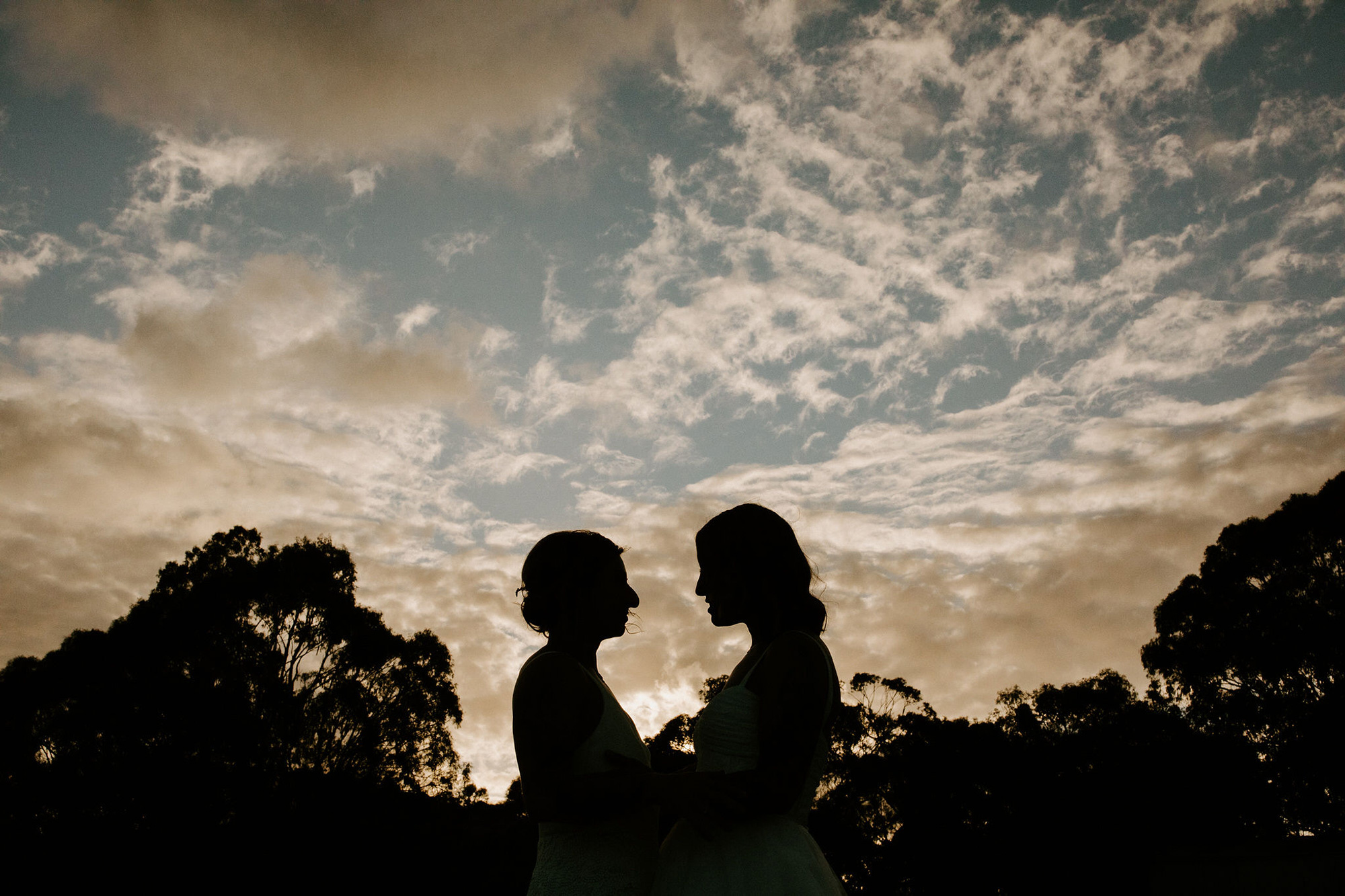 Chiara Bianca Rustic Vineyard Wedding Dan Brannan Photography 056