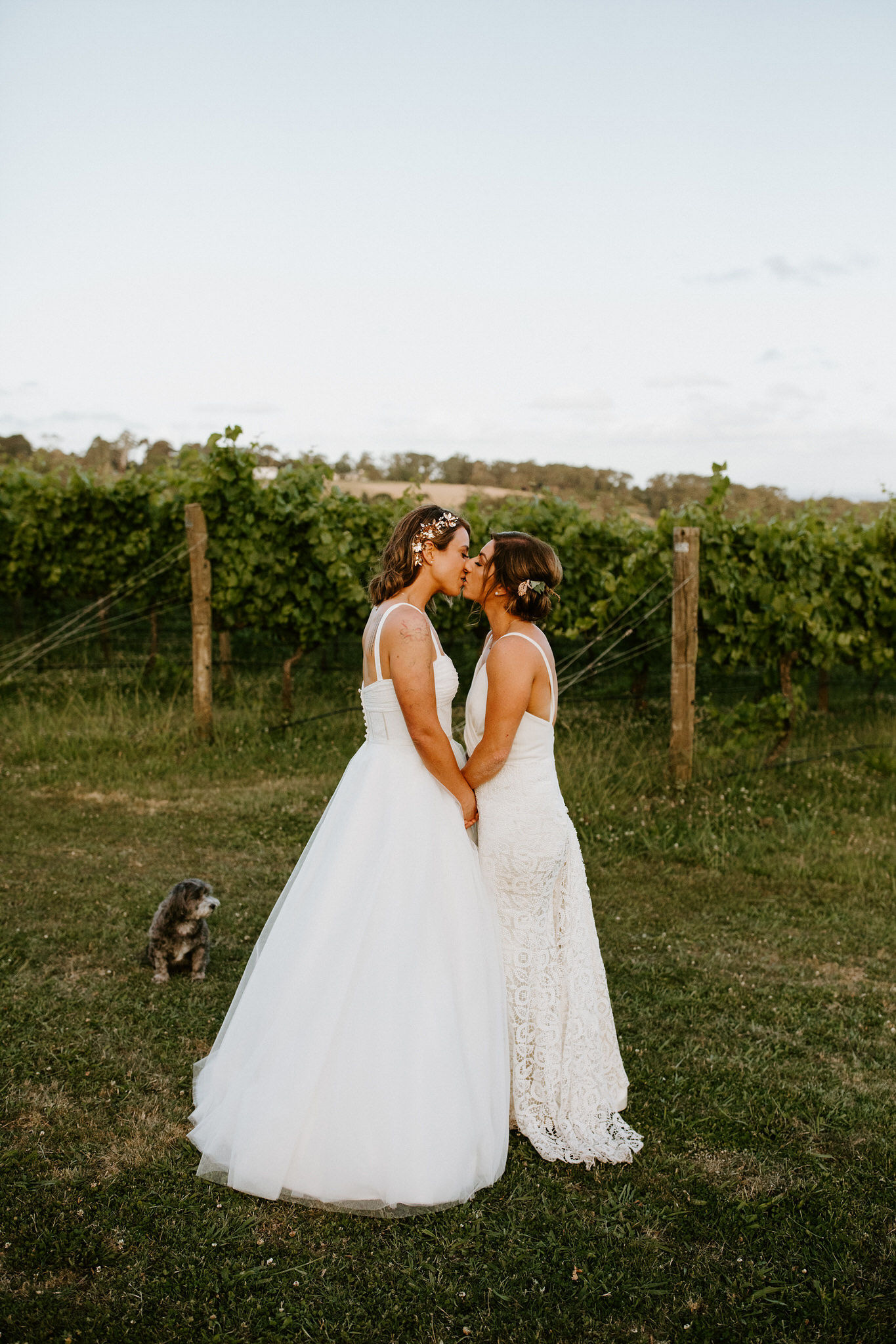 Chiara Bianca Rustic Vineyard Wedding Dan Brannan Photography 058