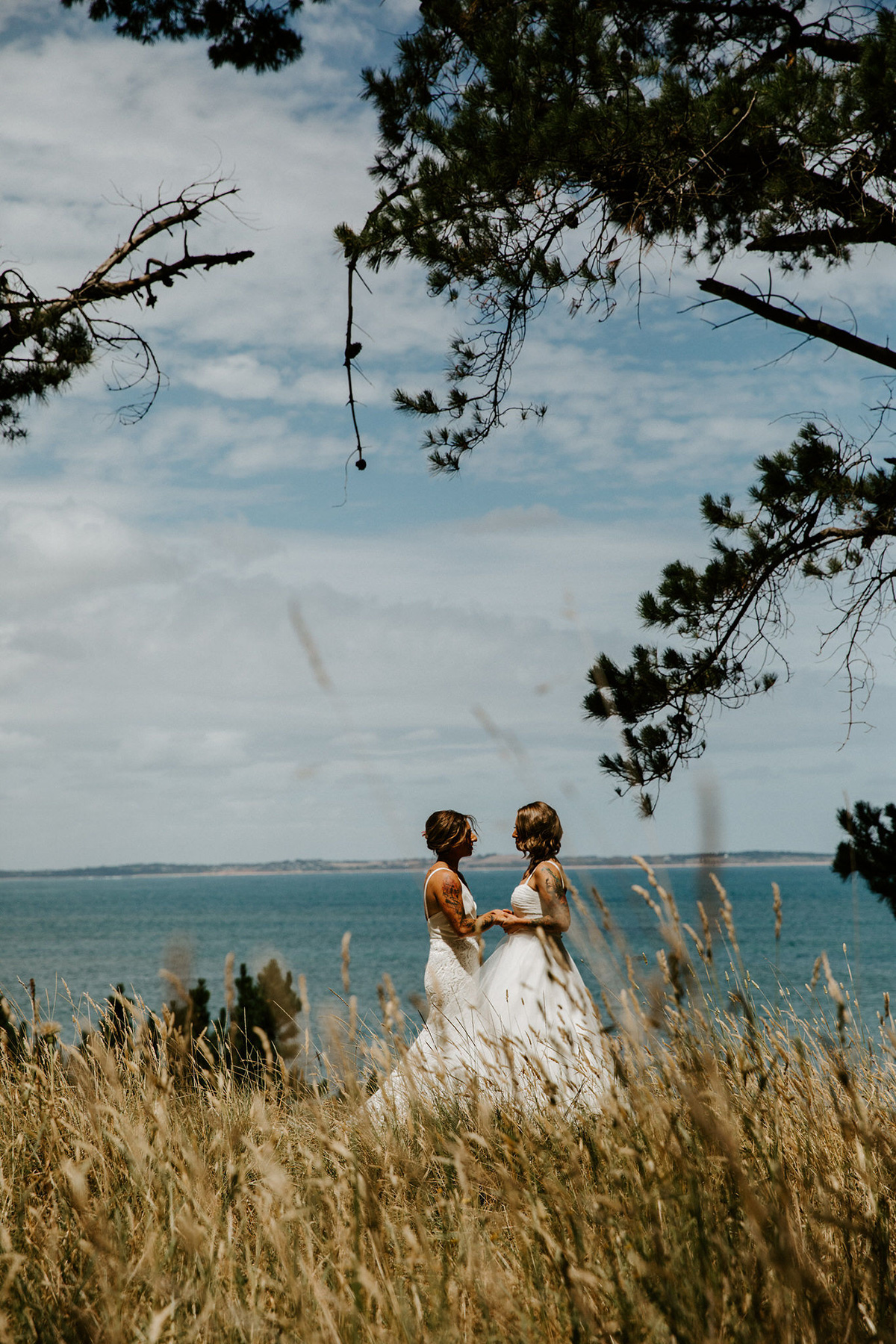 Chiara Bianca Rustic Vineyard Wedding Dan Brannan Photography SBS 019