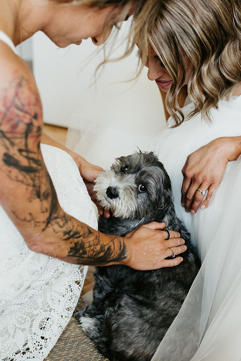 Chiara Bianca Rustic Vineyard Wedding Dan Brannan Photography SBS 026