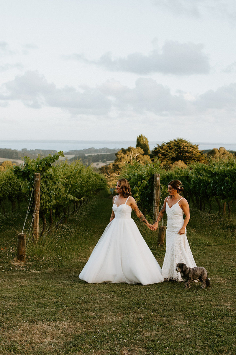 Chiara Bianca Rustic Vineyard Wedding Dan Brannan Photography SBS 049