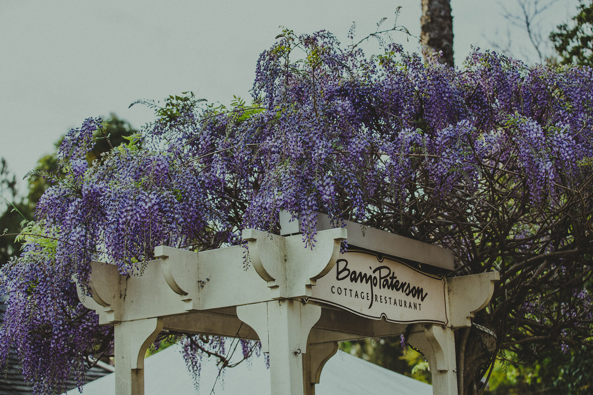 Chloe_Matt_Australian-Garden-Wedding_Dan-Luke-Photography_018