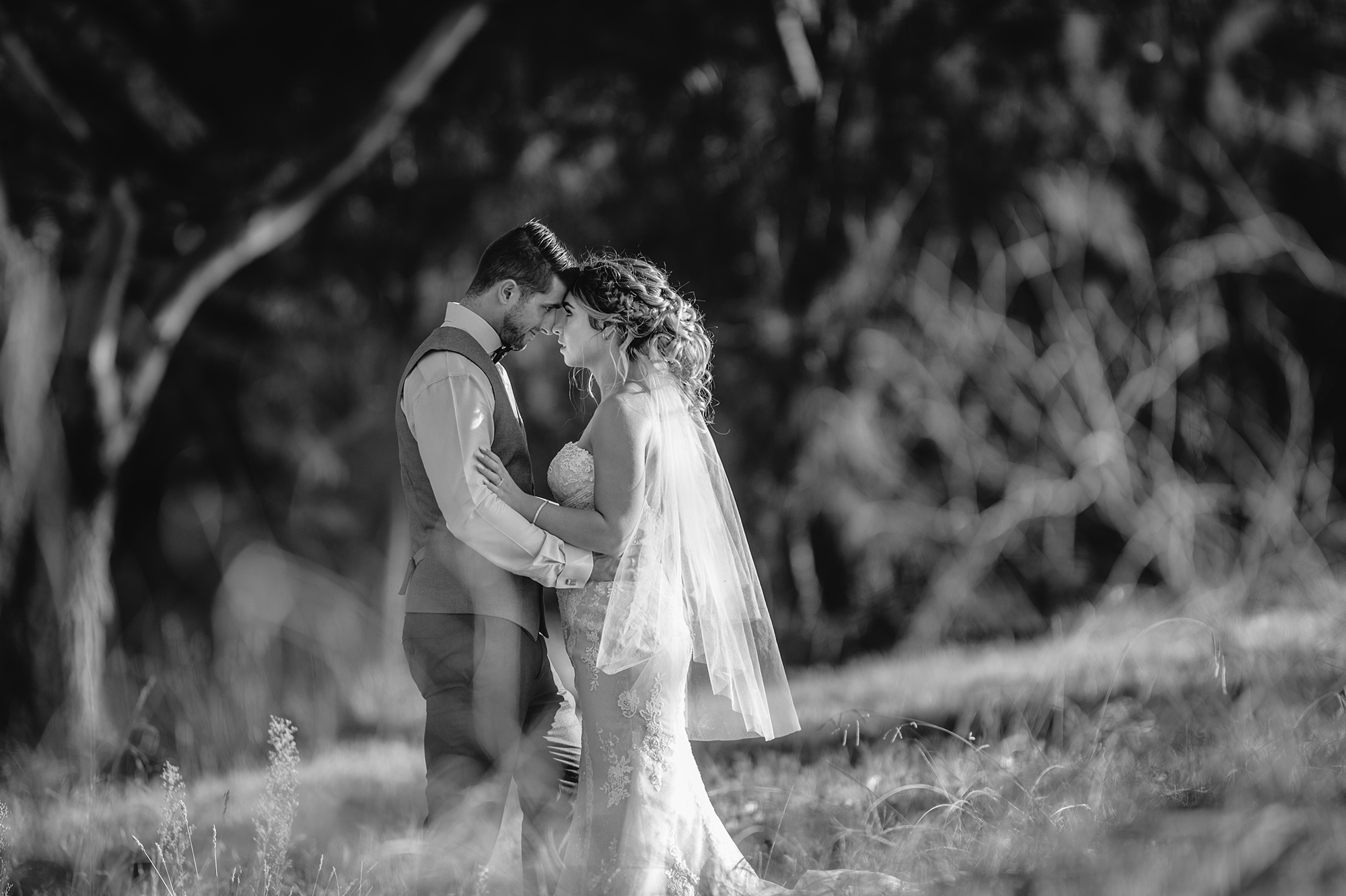 Clara_Dylan_Classic-Vineyard-Wedding_Kevin-McGinn-Photographer_018