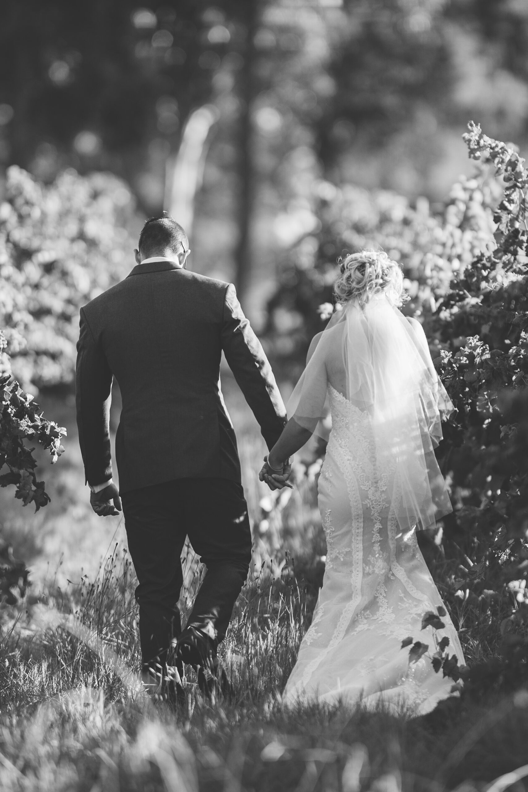 Clara_Dylan_Classic-Vineyard-Wedding_Kevin-McGinn-Photographer_SBS_007