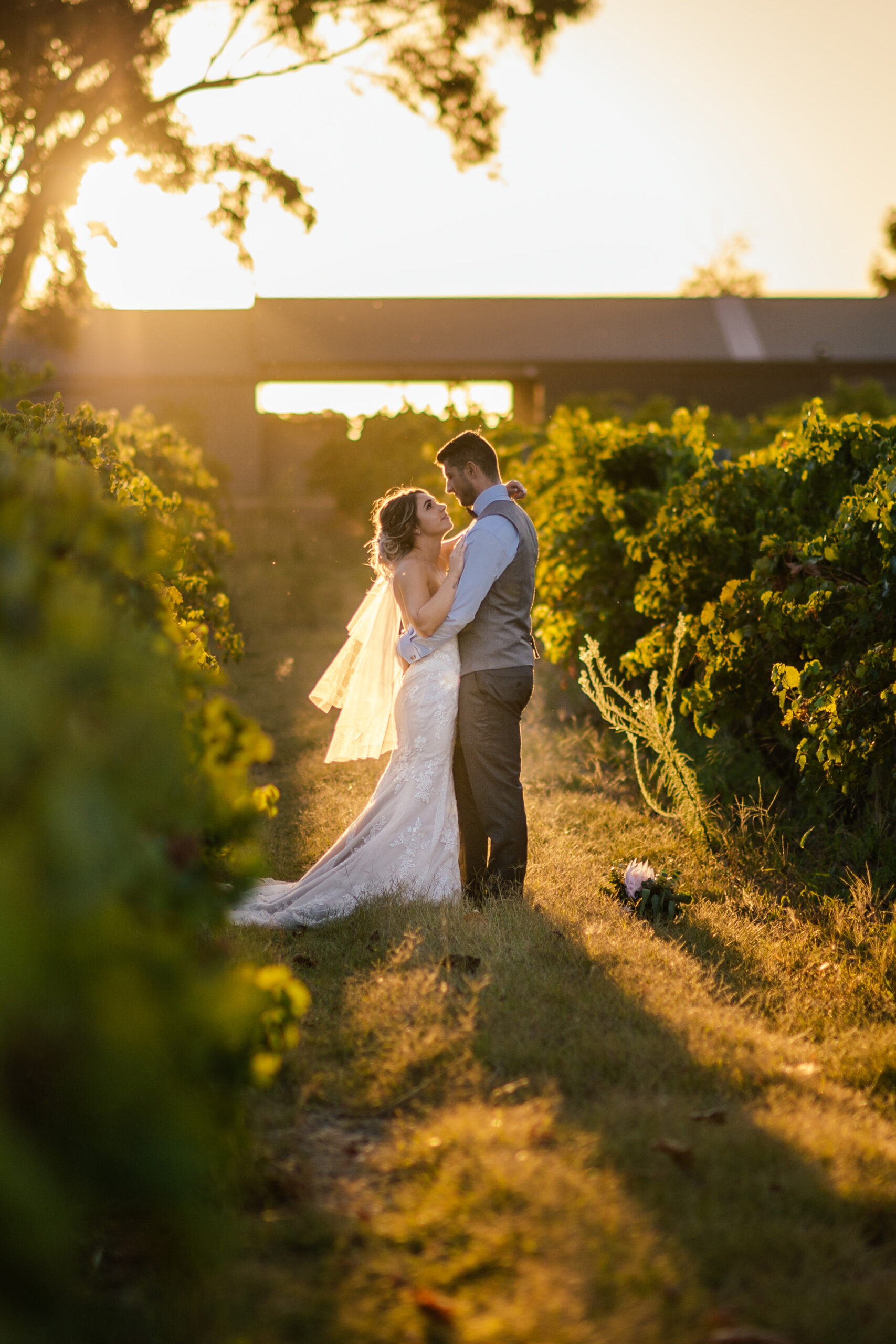 Clara_Dylan_Classic-Vineyard-Wedding_Kevin-McGinn-Photographer_SBS_013