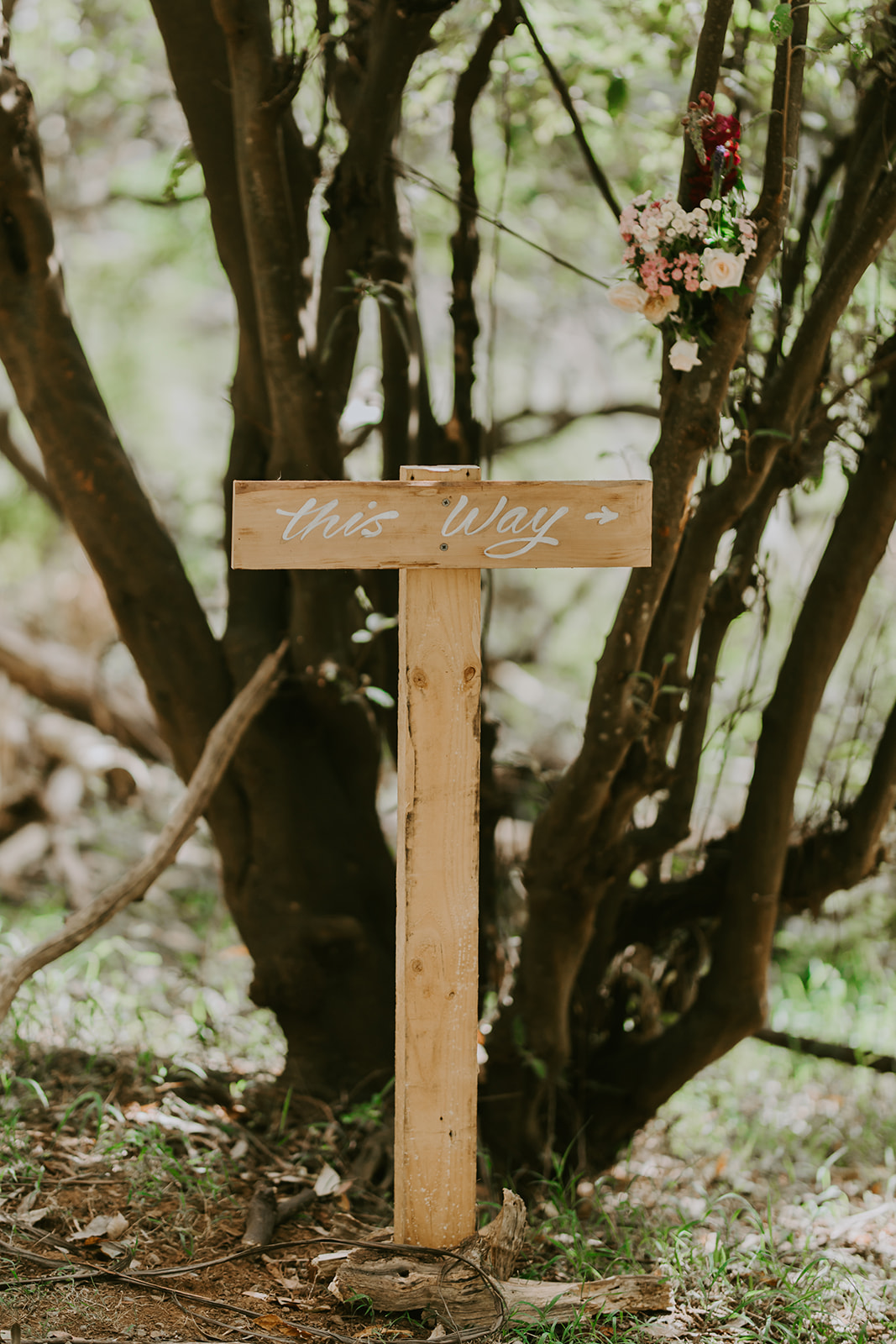 Dandenong Ranges Outdoor Wedding Emily Howlett Photography Sheree Daniel 14