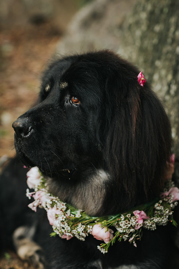 Dani_Garry_Romantic-Garden-Wedding_Bonnie-Jenkins-Photography_SBS_006