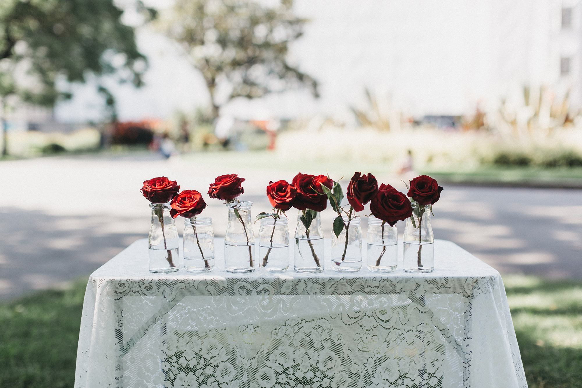 Elise Daniel Rustic Vintage Wedding Jave Lee Photography 013