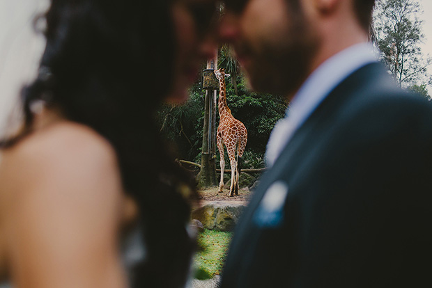 Elli_John_Zoo-Wedding_006