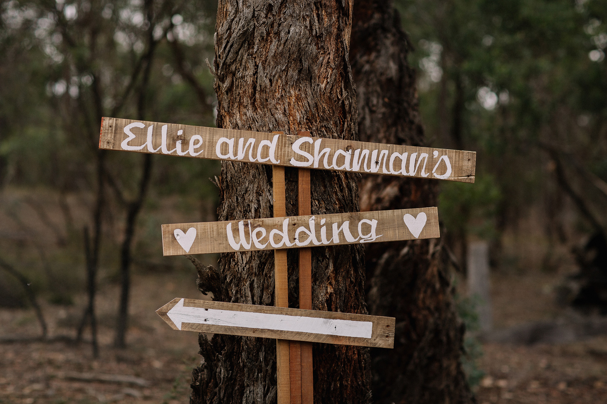 Ellie Shannan Rustic Country Wedding David Campbell Imagery 005