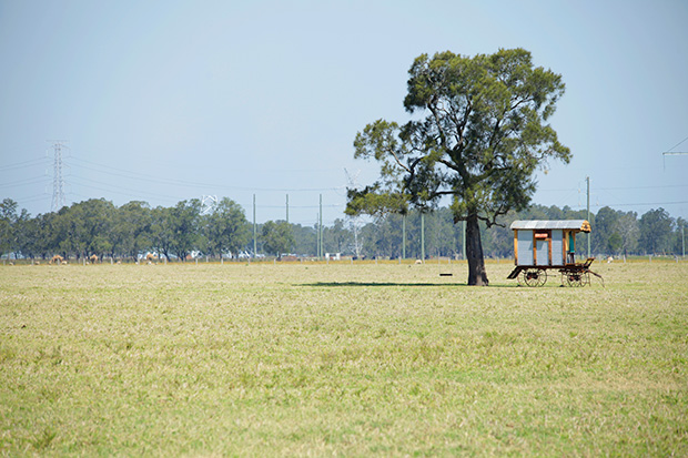 Emily_Luke_Country-Wedding_001