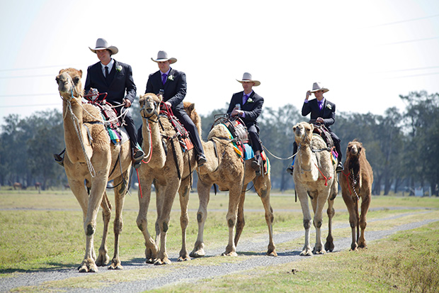 Emily_Luke_Country-Wedding_002