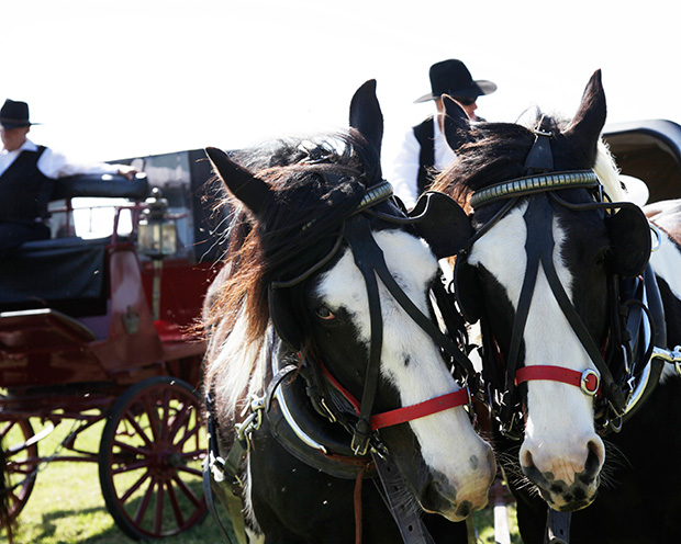 Emily_Luke_Country-Wedding_009